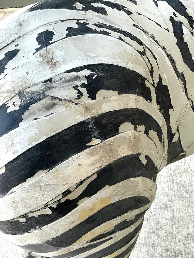 Vintage Life Size Baby Zebra — additional photo 8