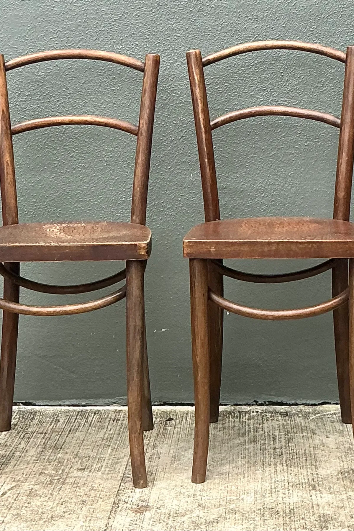 Vintage Carved Crocodile Wood Dining Chairs - A Pair