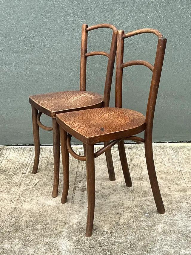 Vintage Carved Crocodile Wood Dining Chairs - A Pair — additional photo 8