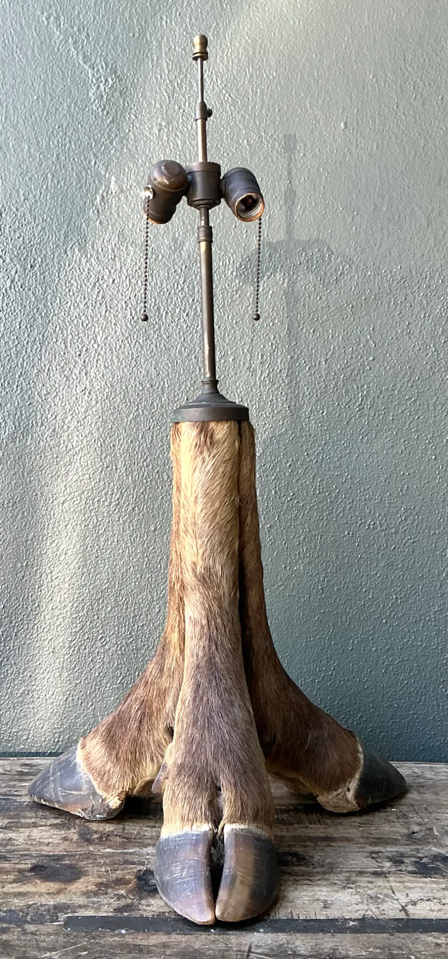 Vintage Taxidermy Hoof Table Lamp — additional photo 4