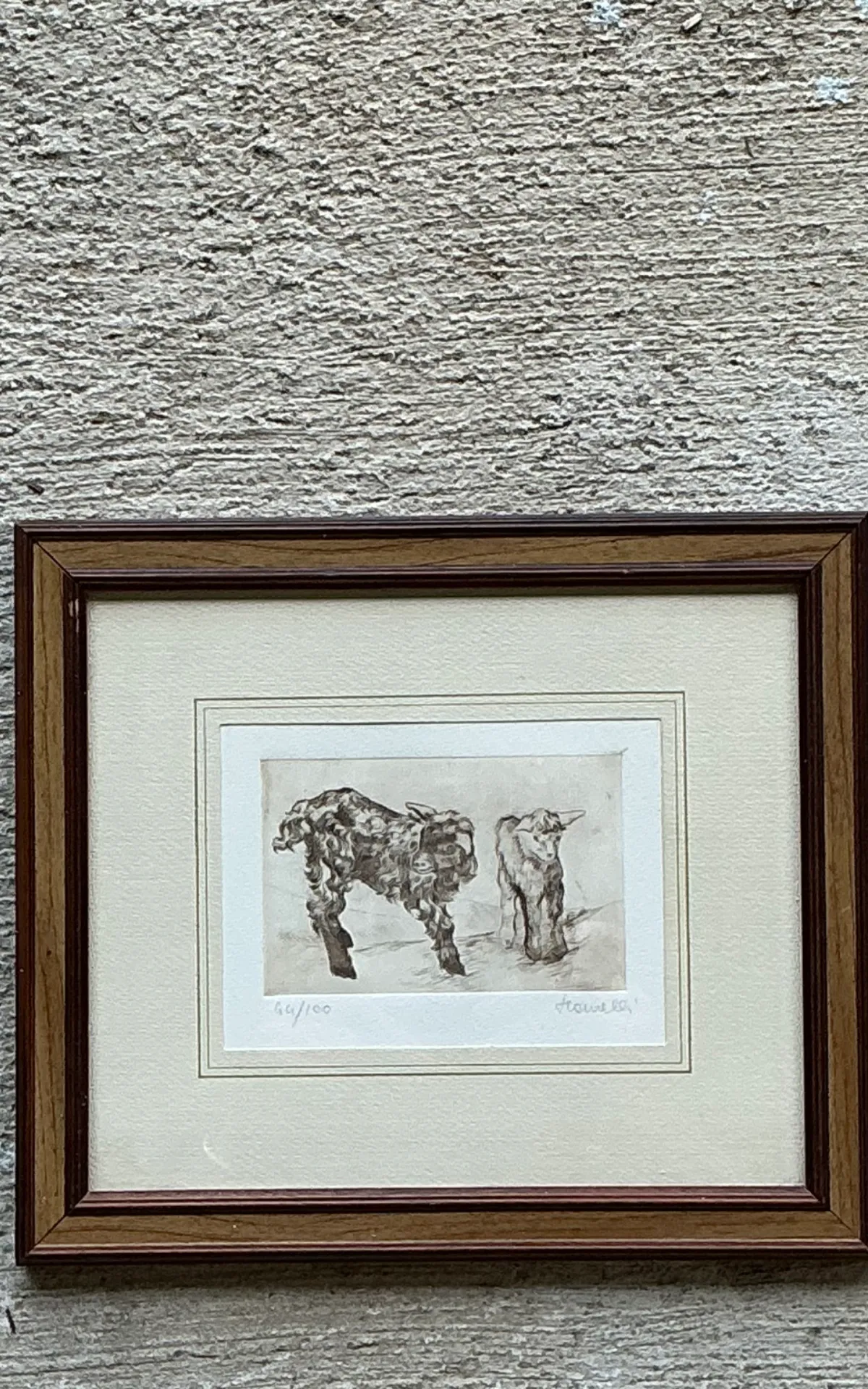 Framed Figurative Animal Etching — additional photo 5