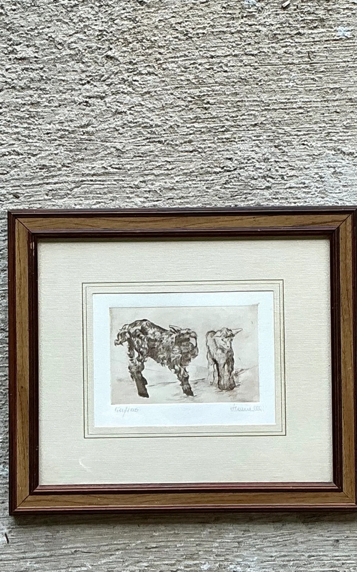 Framed Figurative Animal Etching — additional photo 8