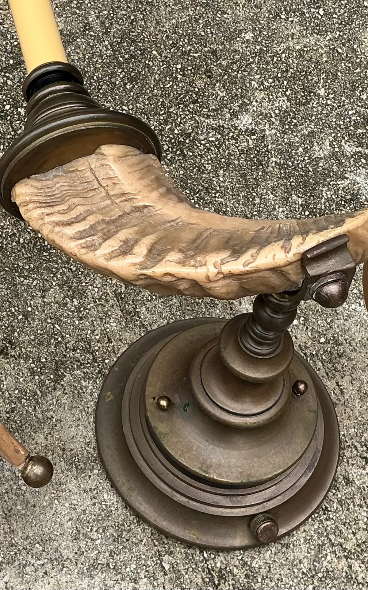 Vintage Brass Twisted Horn Wall Sconces — additional photo 5