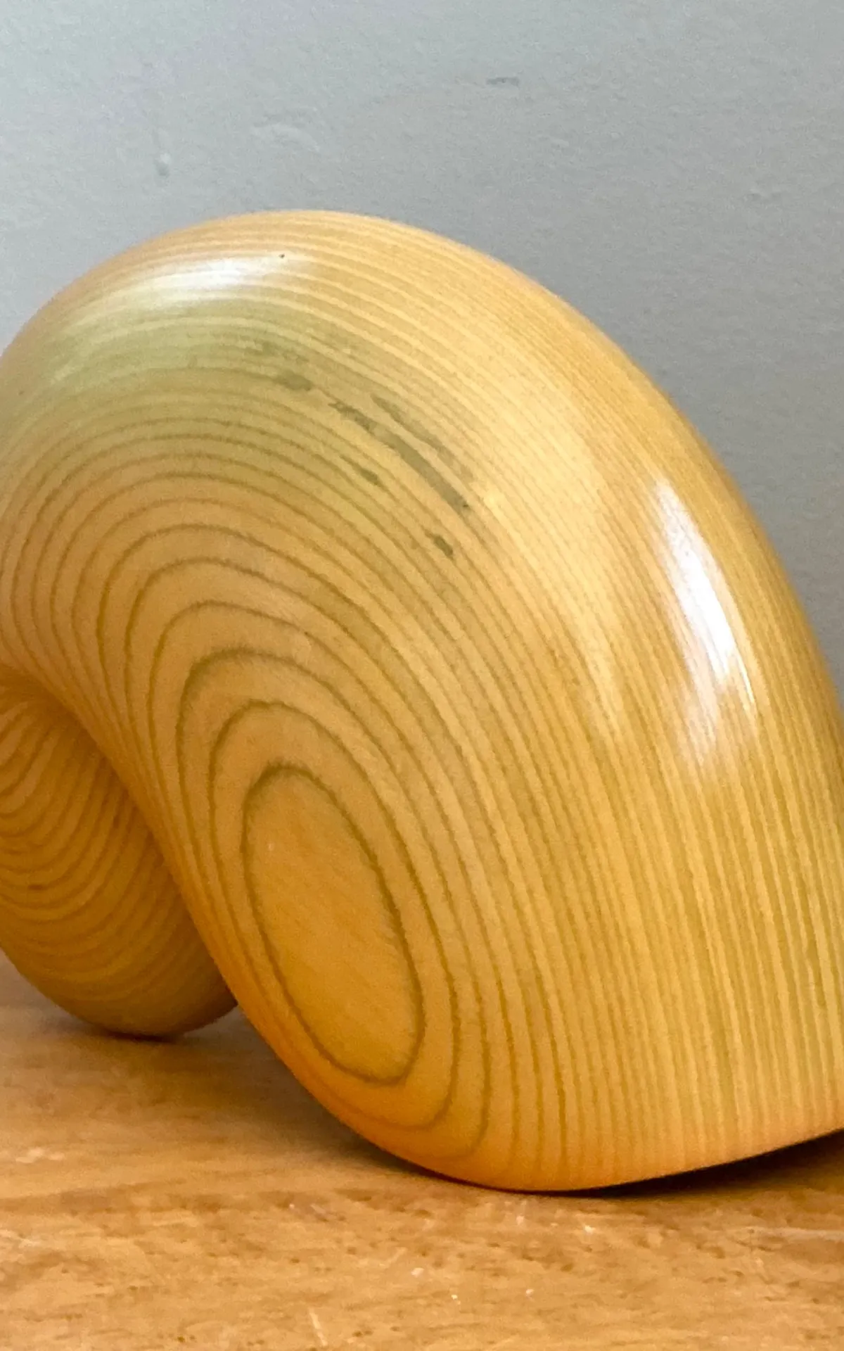 Vintage Abstract Wood Nautilus Shell Sculpture — additional photo 2