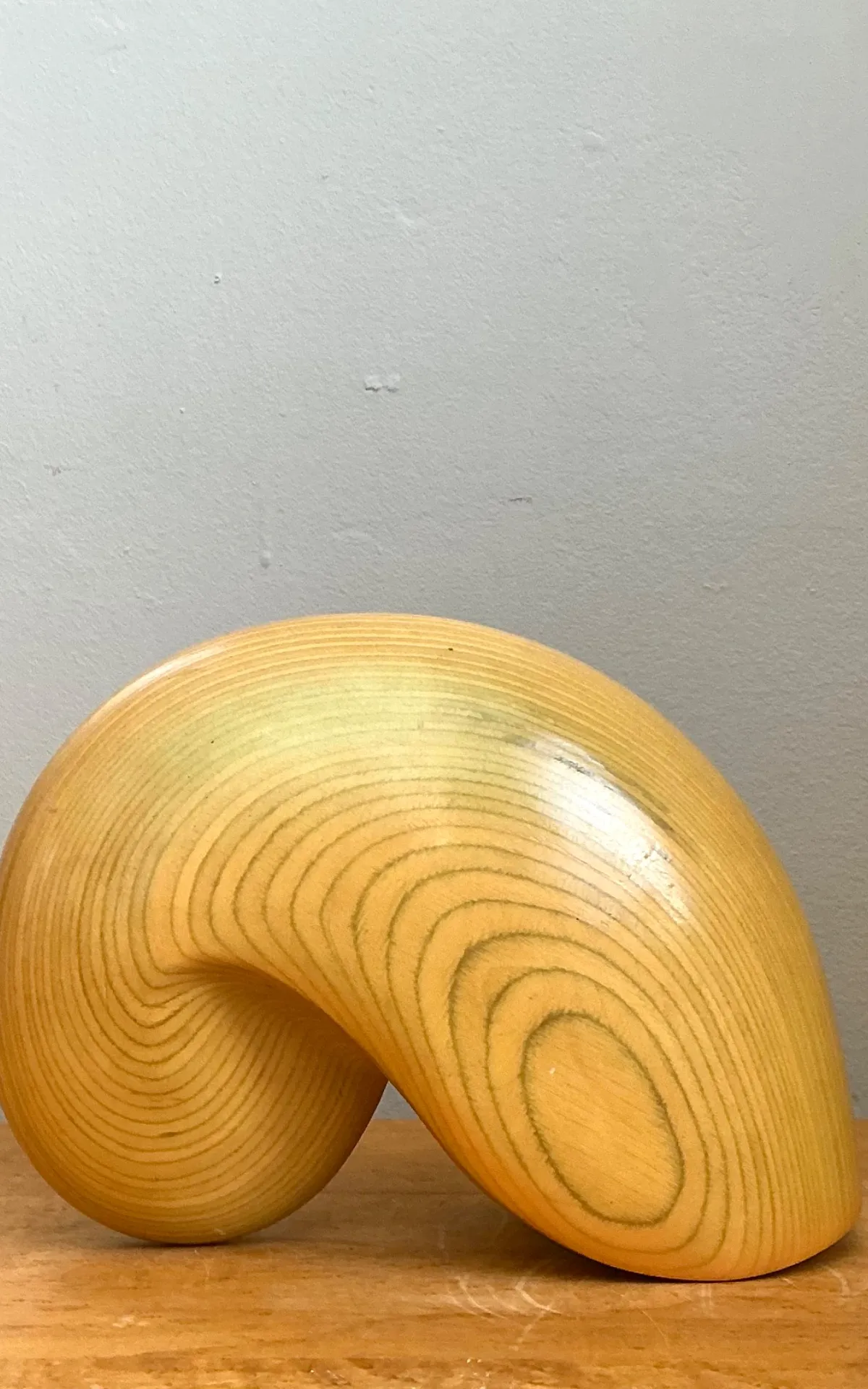 Vintage Abstract Wood Nautilus Shell Sculpture — additional photo 4