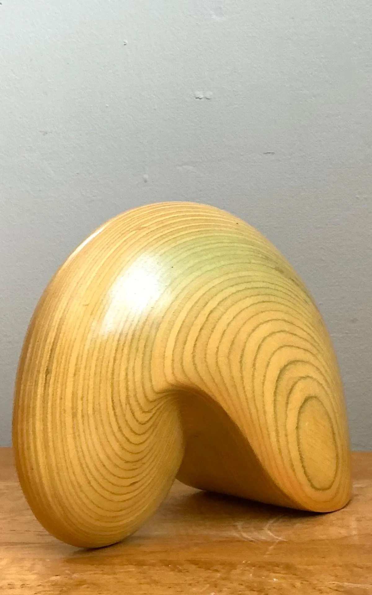 Vintage Abstract Wood Nautilus Shell Sculpture — additional photo 6