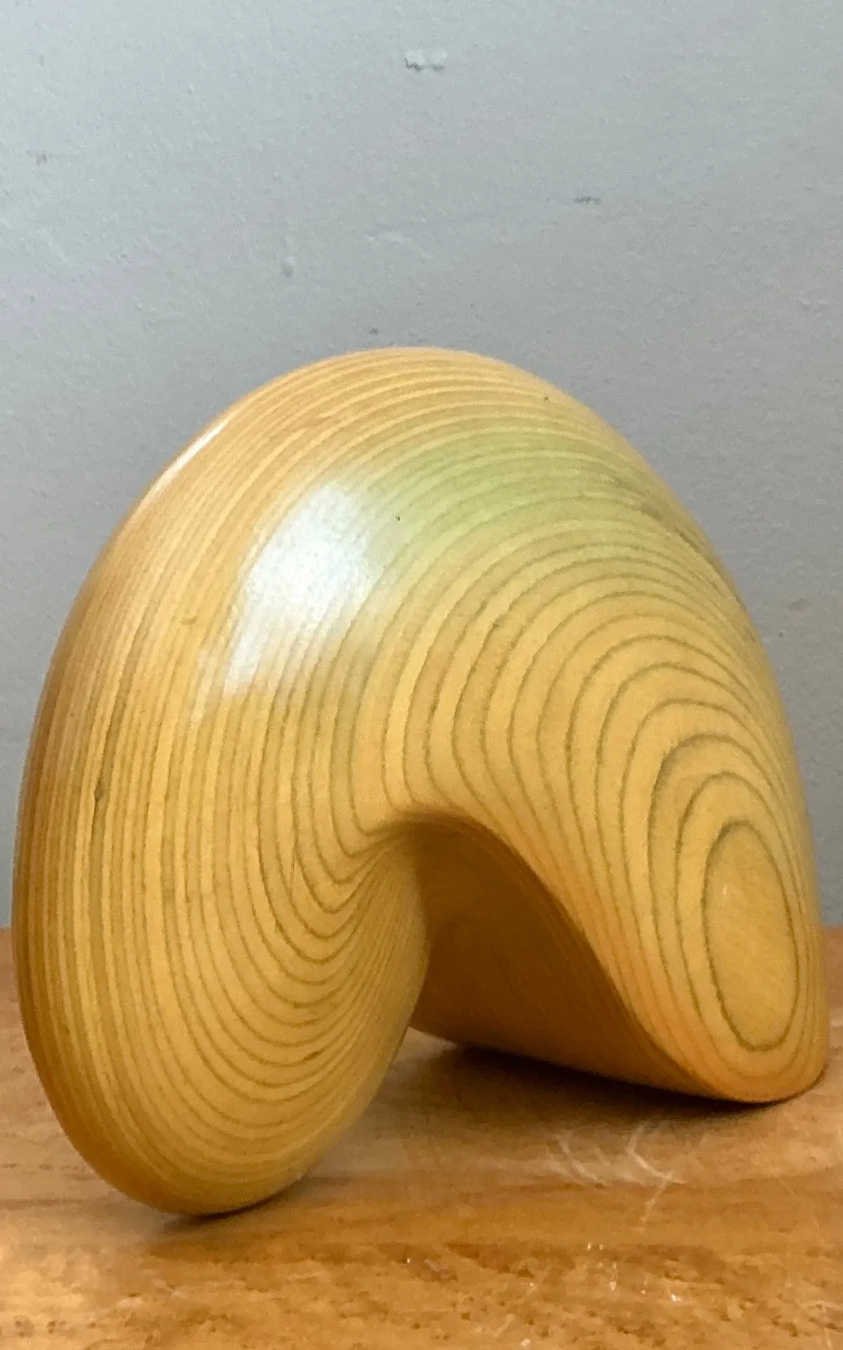 Vintage Abstract Wood Nautilus Shell Sculpture — additional photo 5