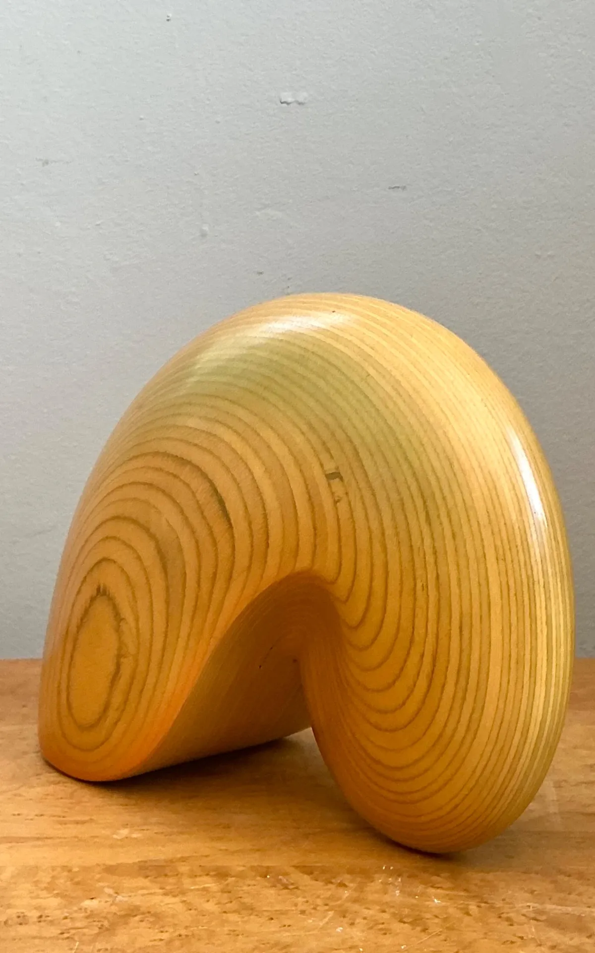 Vintage Abstract Wood Nautilus Shell Sculpture — additional photo 8