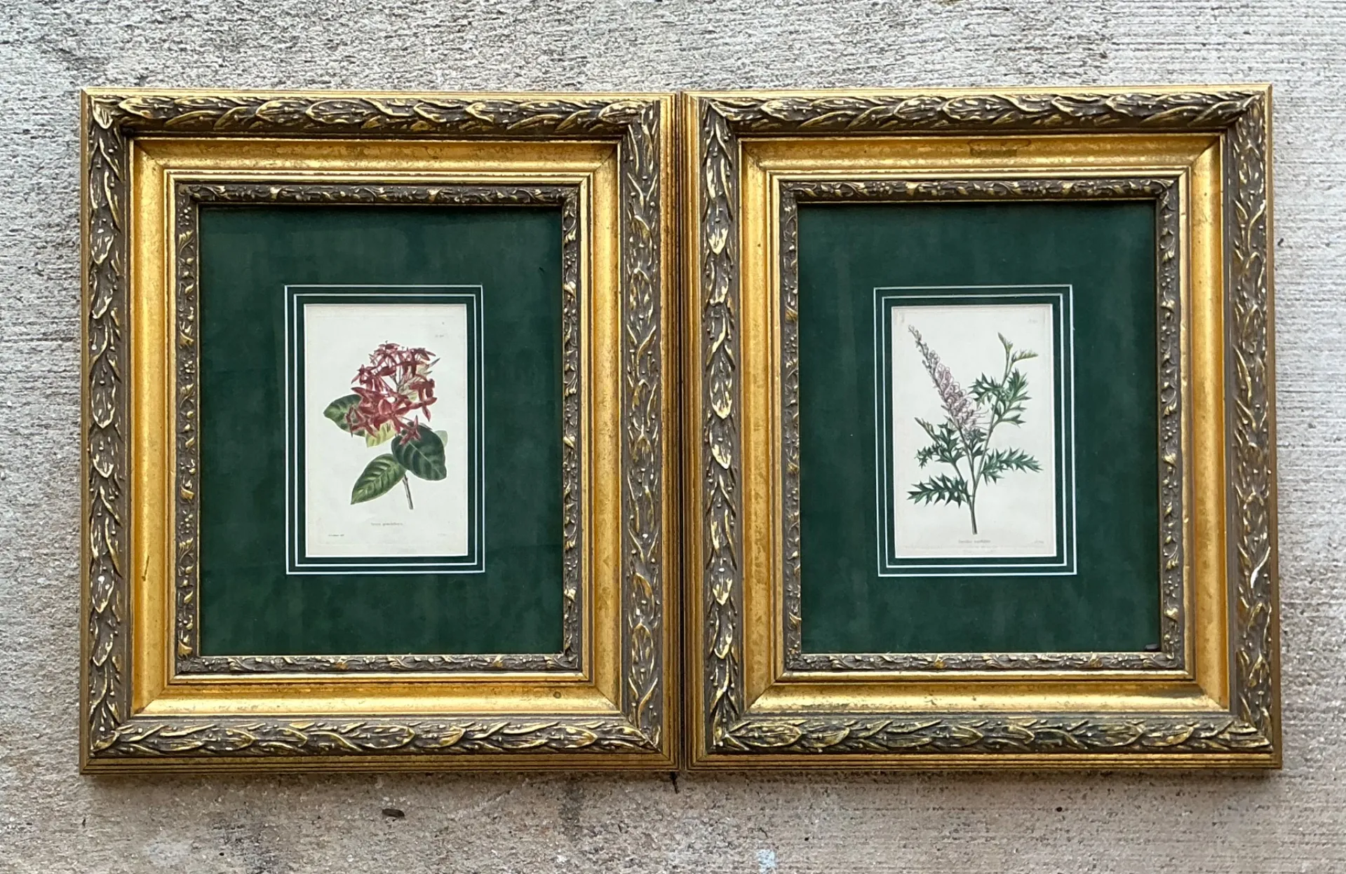 Vintage Framed Botanical Floral Prints - A Pair — additional photo 1