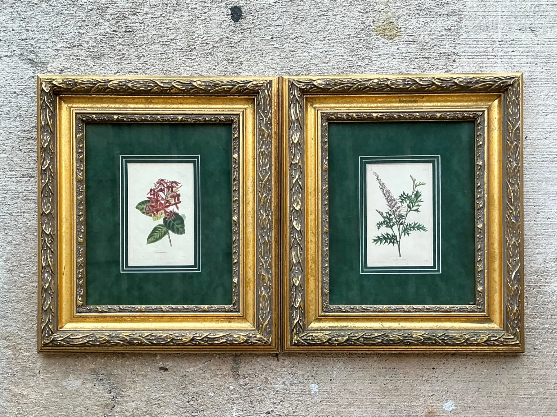 Vintage Framed Botanical Floral Prints - A Pair — additional photo 2