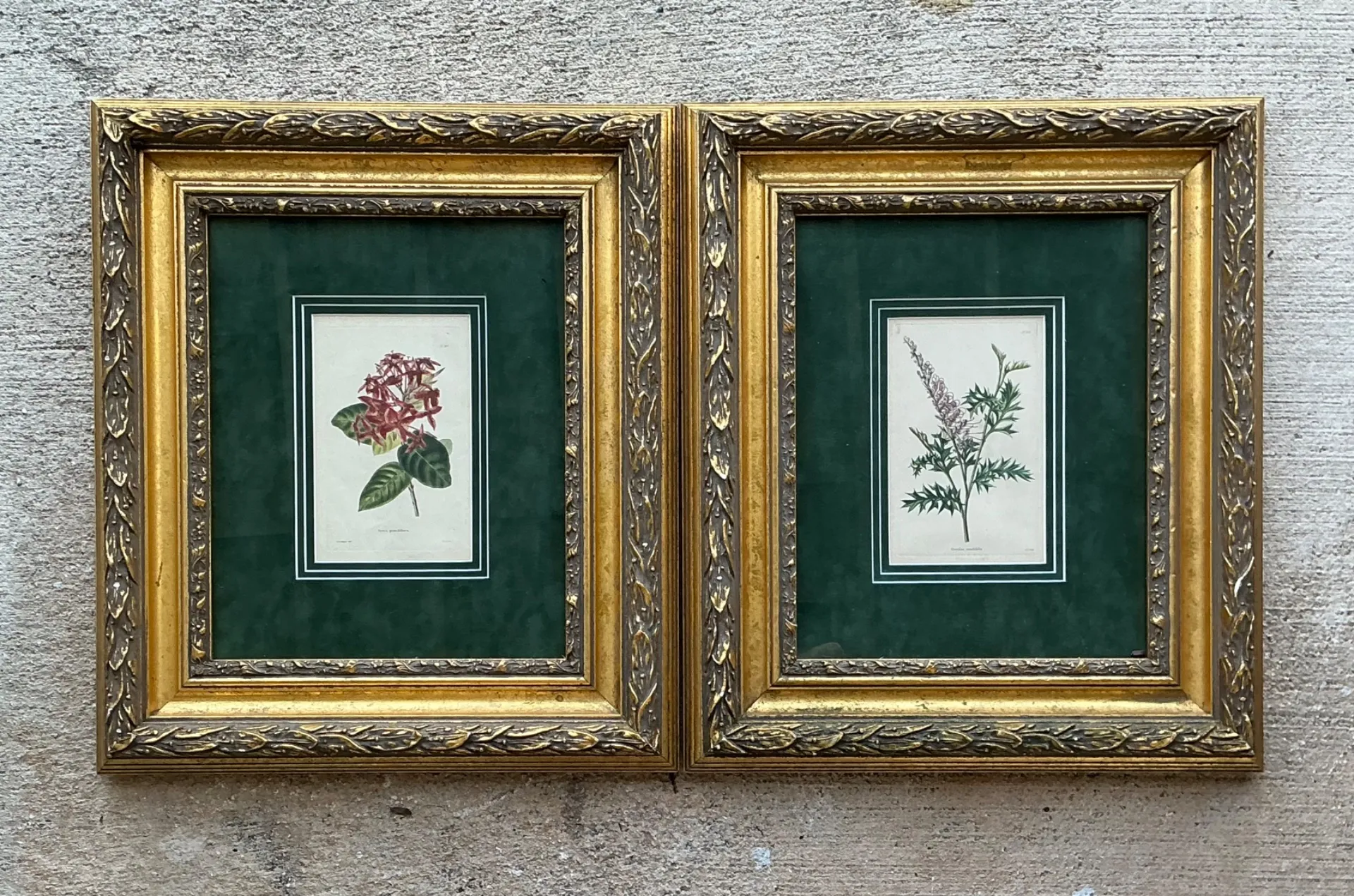 Vintage Framed Botanical Floral Prints - A Pair — additional photo 4