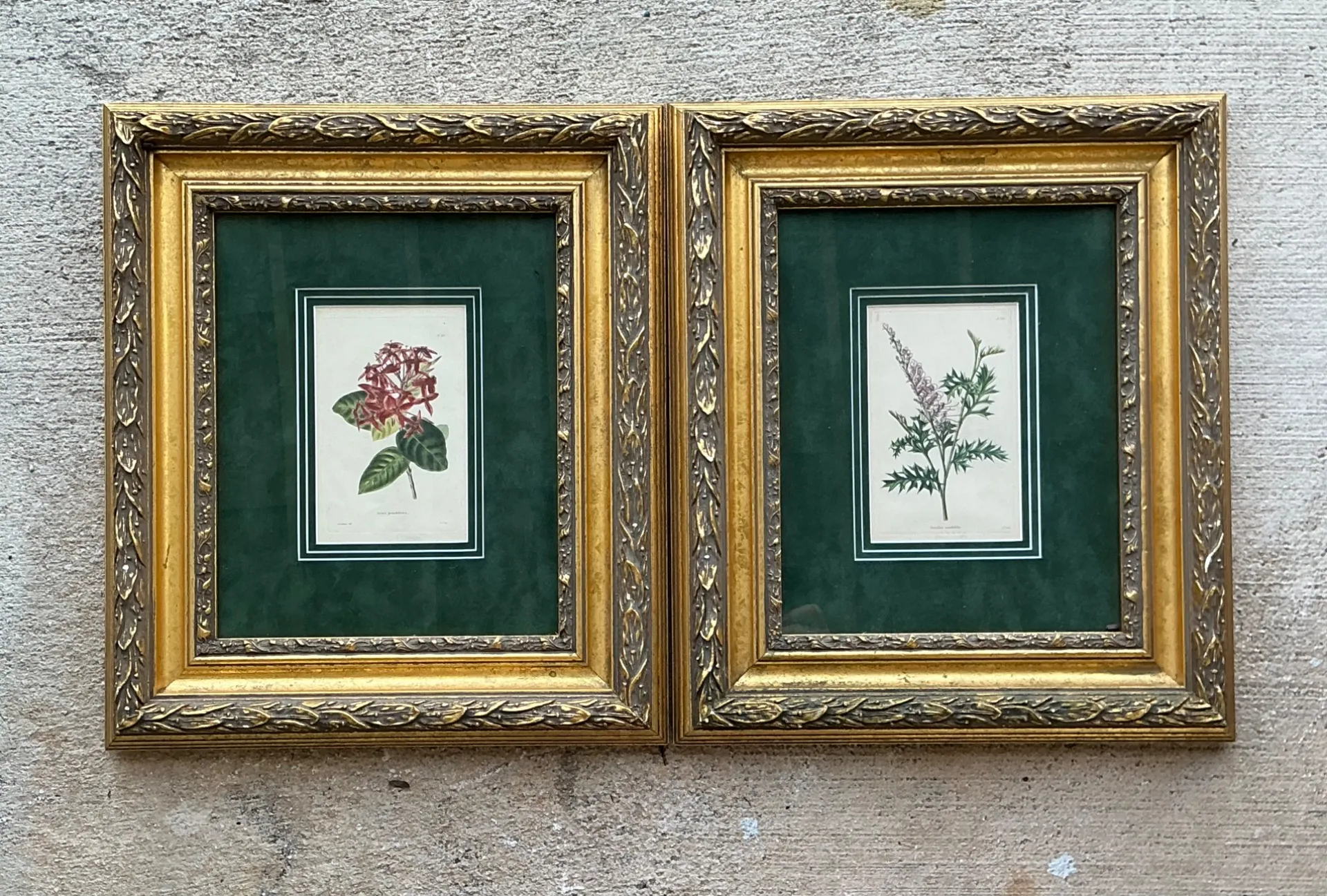 Vintage Framed Botanical Floral Prints - A Pair — additional photo 5
