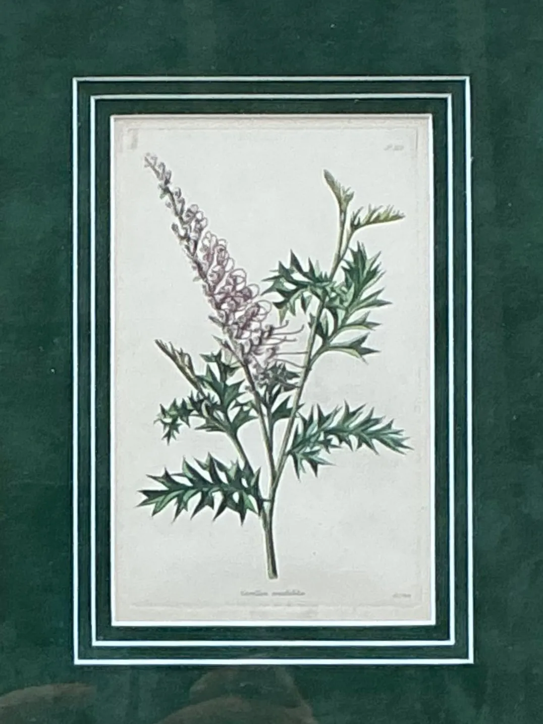 Vintage Framed Botanical Floral Prints - A Pair — additional photo 6