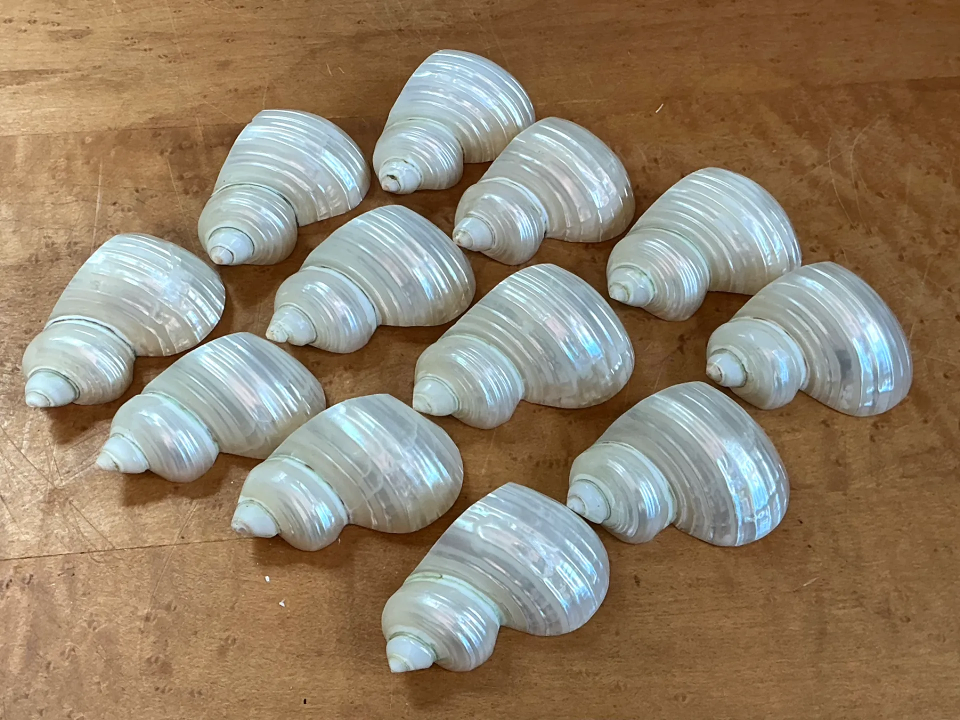 Vintage Shell Napkin Rings - Set of 12 — additional photo 2