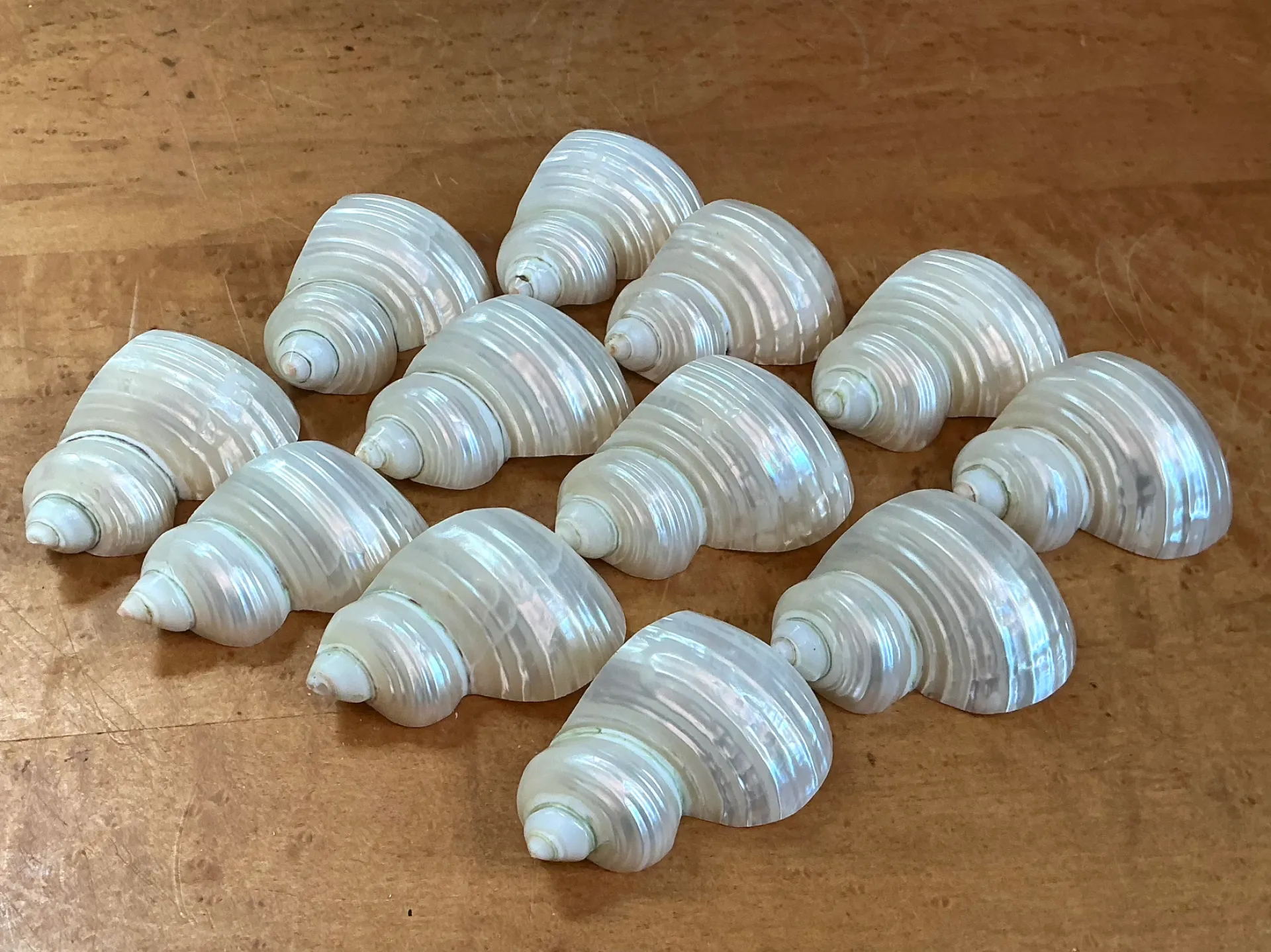 Vintage Shell Napkin Rings - Set of 12 — additional photo 6