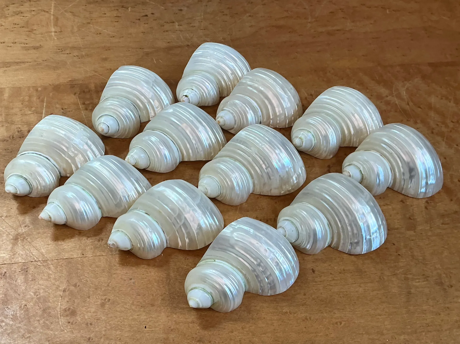 Vintage Shell Napkin Rings - Set of 12 — additional photo 5