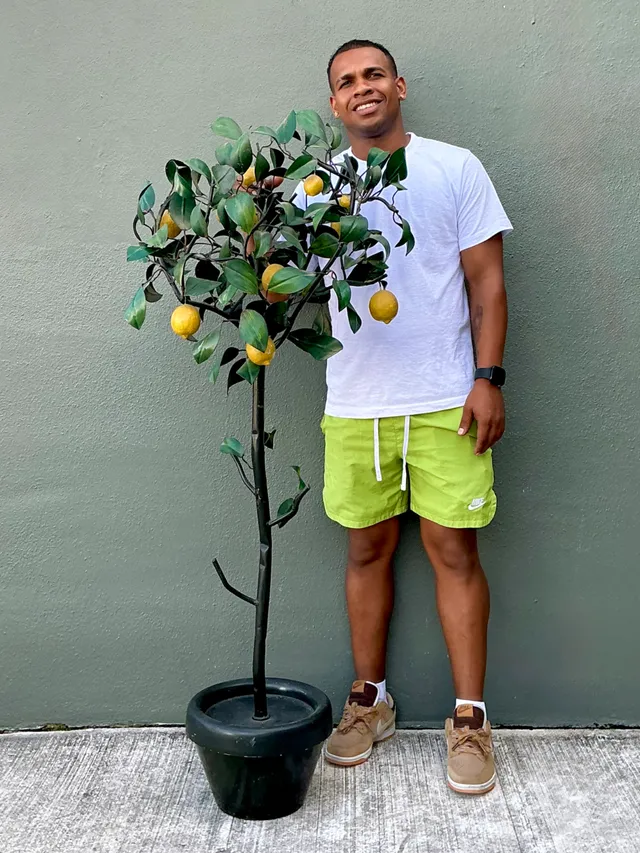 Vintage Italian Painted Metal Lemon Tree — additional photo 4