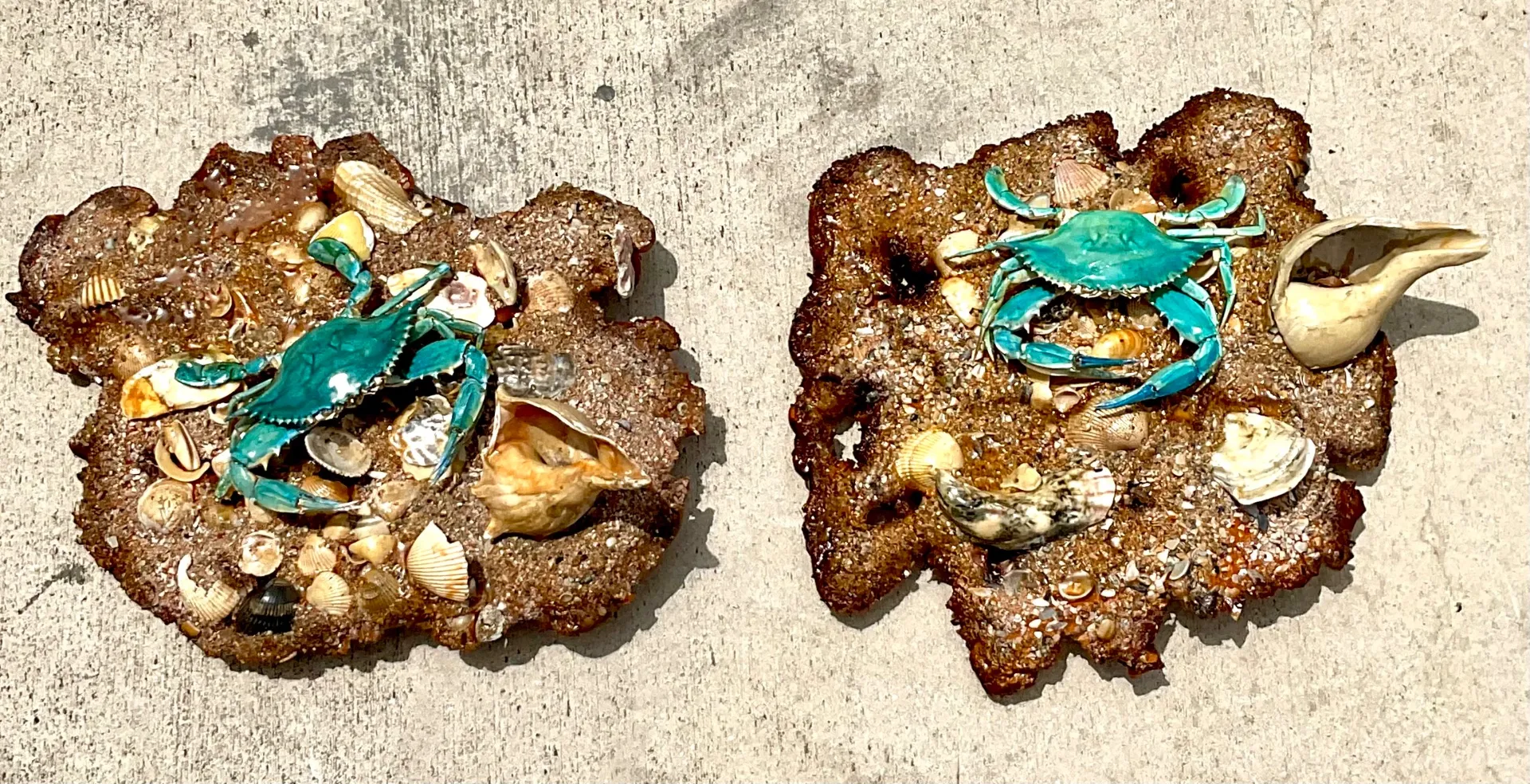 Vintage Coastal Crab and Shells Wall Art - Shell, 18W x 17H — additional photo 4