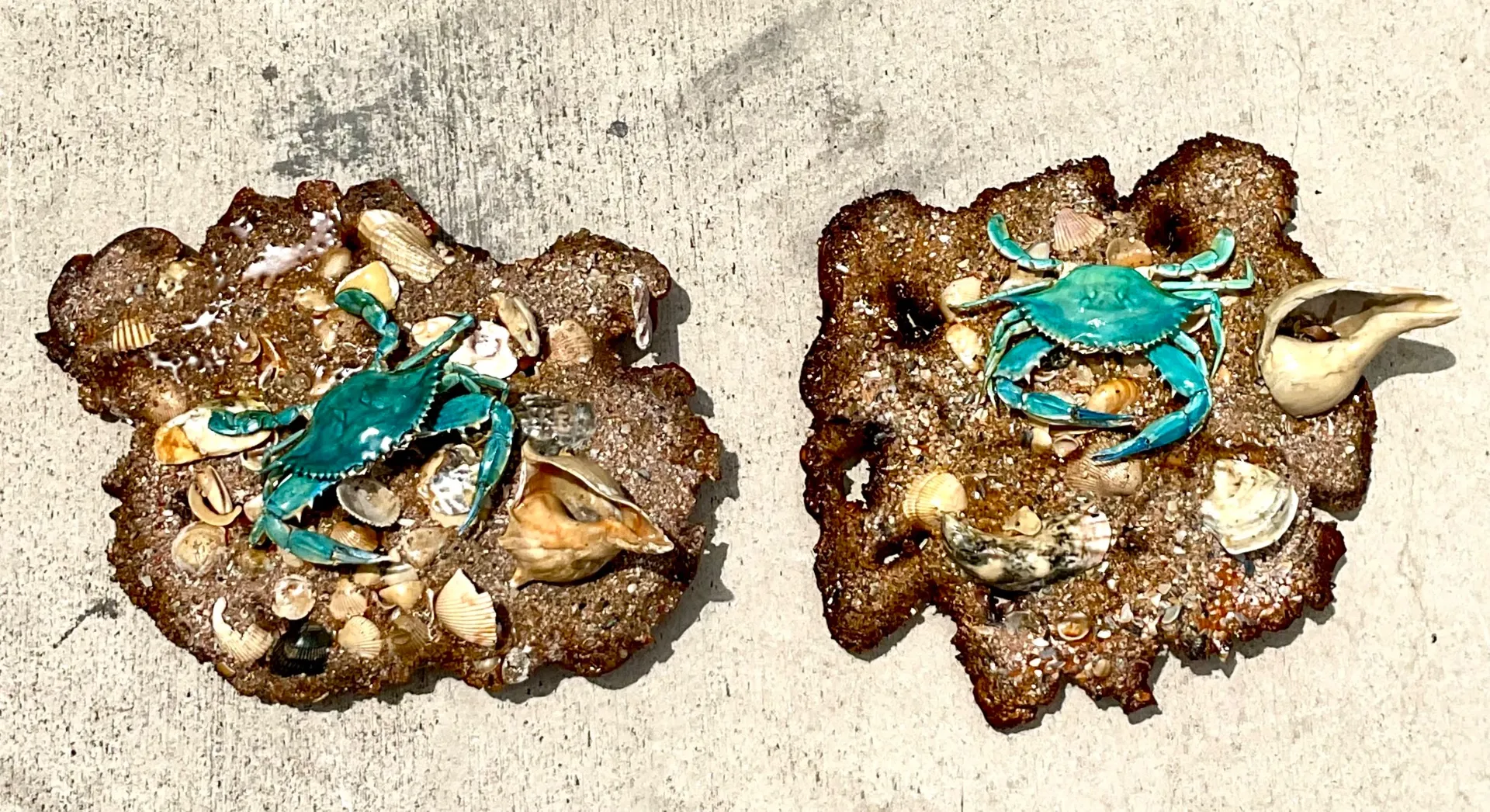 Vintage Coastal Crab and Shells Wall Art - Shell, 18W x 17H — additional photo 1