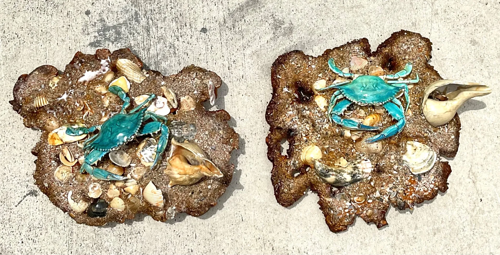 Vintage Coastal Crab and Shells Wall Art — additional photo 3