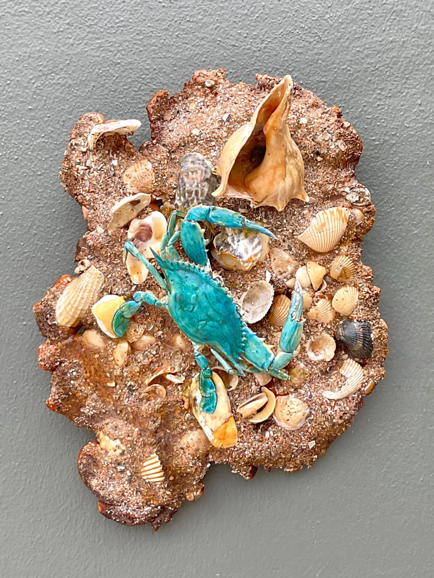 Vintage Coastal Crab and Shells Wall Art — additional photo 5