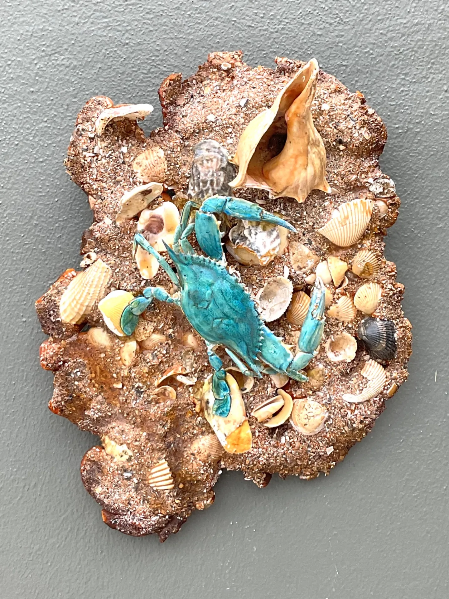 Vintage Coastal Crab and Shells Wall Art — additional photo 4