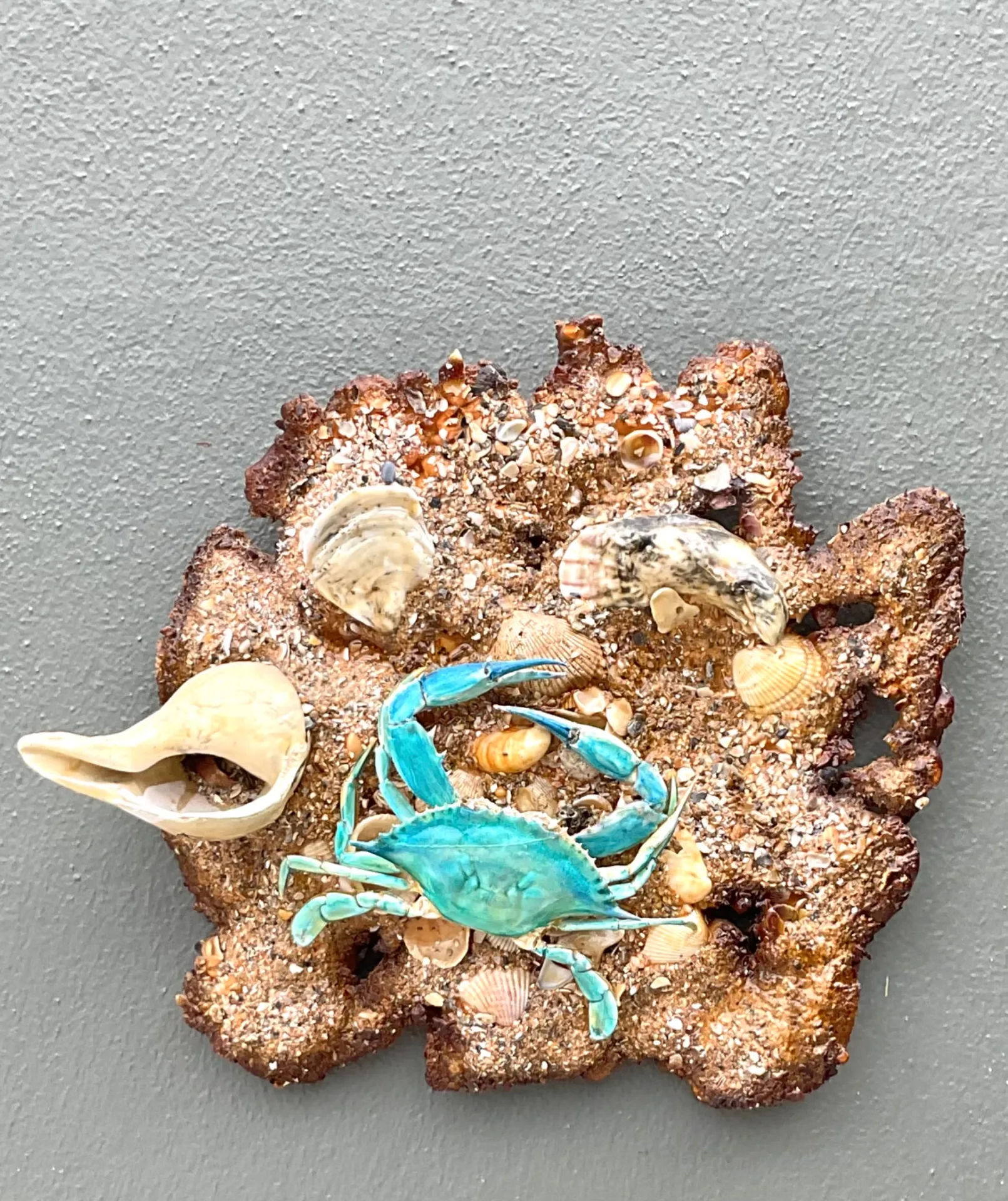 Vintage Coastal Crab and Shells Wall Art - Shell, 18W x 17H — additional photo 5