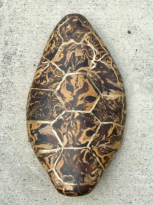 Vintage Italian Scagliola Pigmented Plaster Turtle Shell - Plaster, 15W x 23.75H — additional photo 1