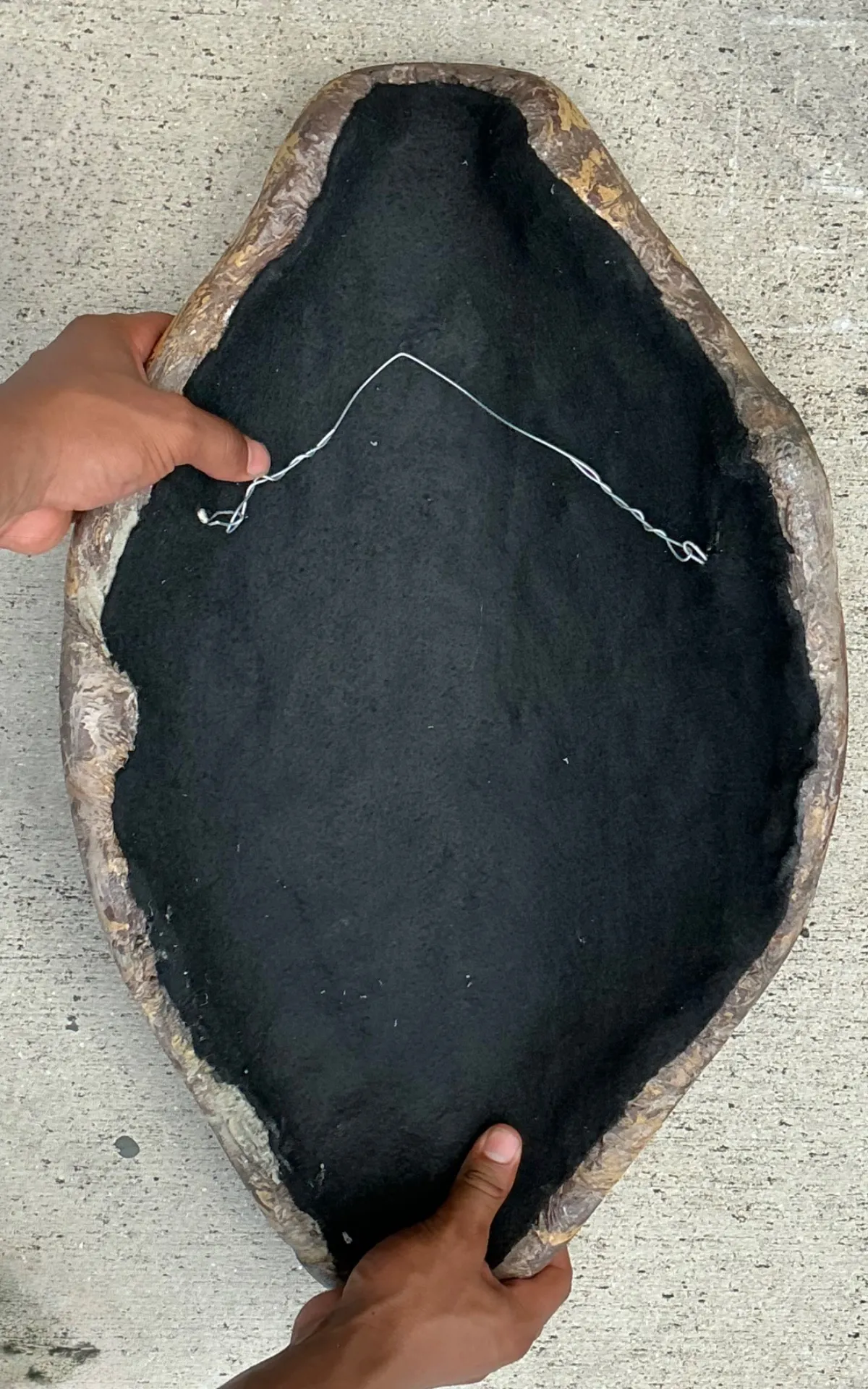 Vintage Italian Scagliola Pigmented Plaster Turtle Shell - Plaster, 15W x 23.75H — additional photo 4