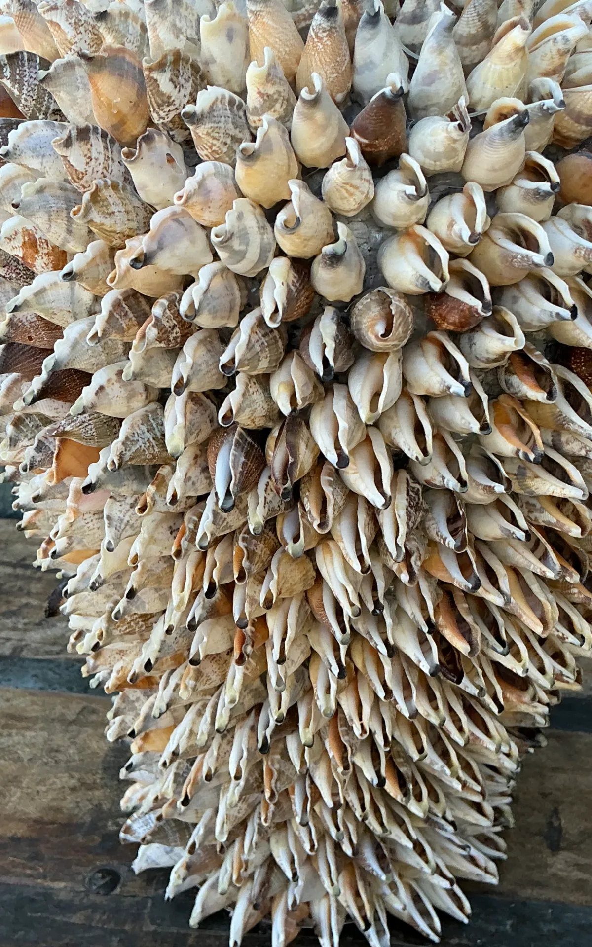 Vintage Shell Covered Sculpture — additional photo 4