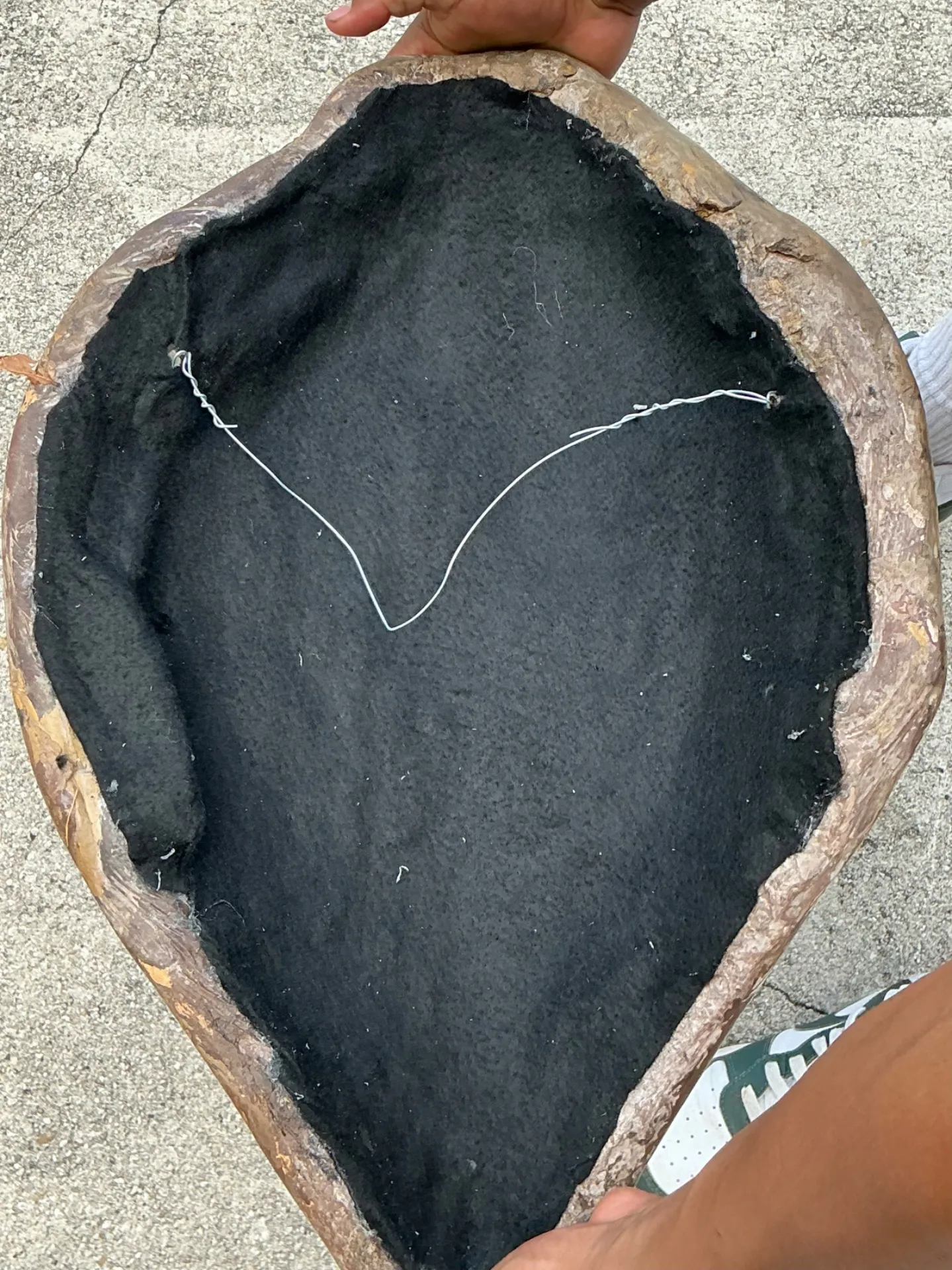 Vintage Italian Scagliola Pigmented Plaster Turtle Shell - Brown, 15.25W x 22.5H — additional photo 4