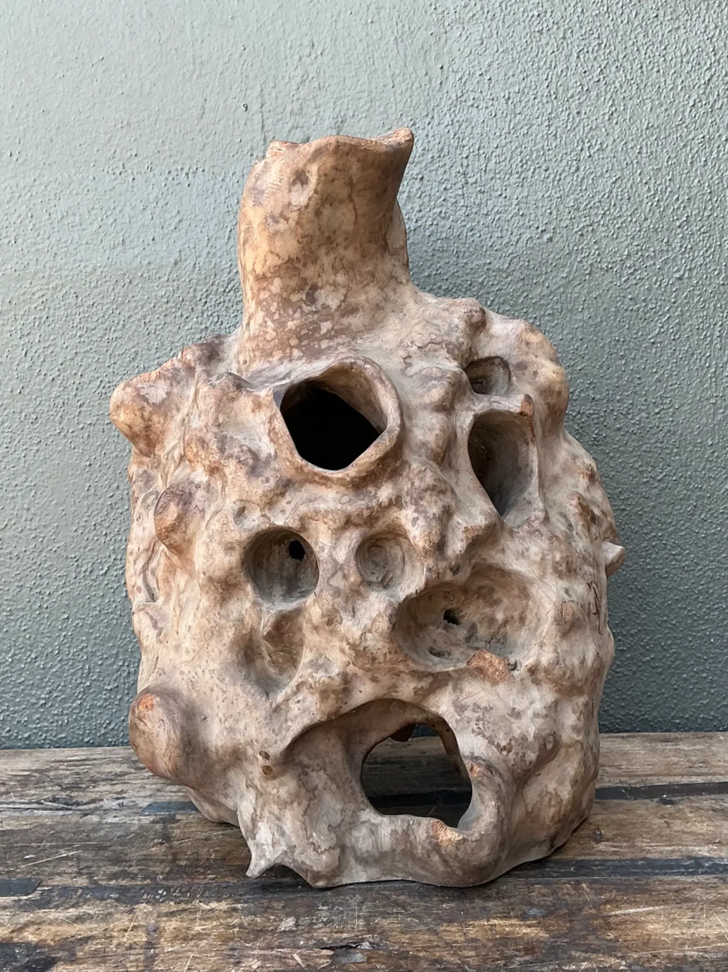 Vintage Organic Wood Knot Sculpture — additional photo 5