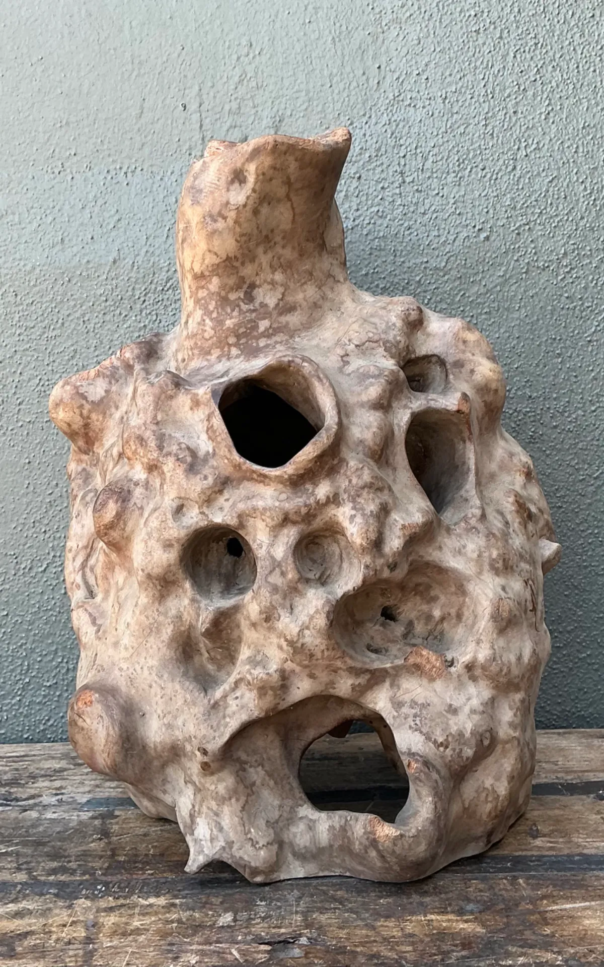 Vintage Organic Wood Knot Sculpture — additional photo 5