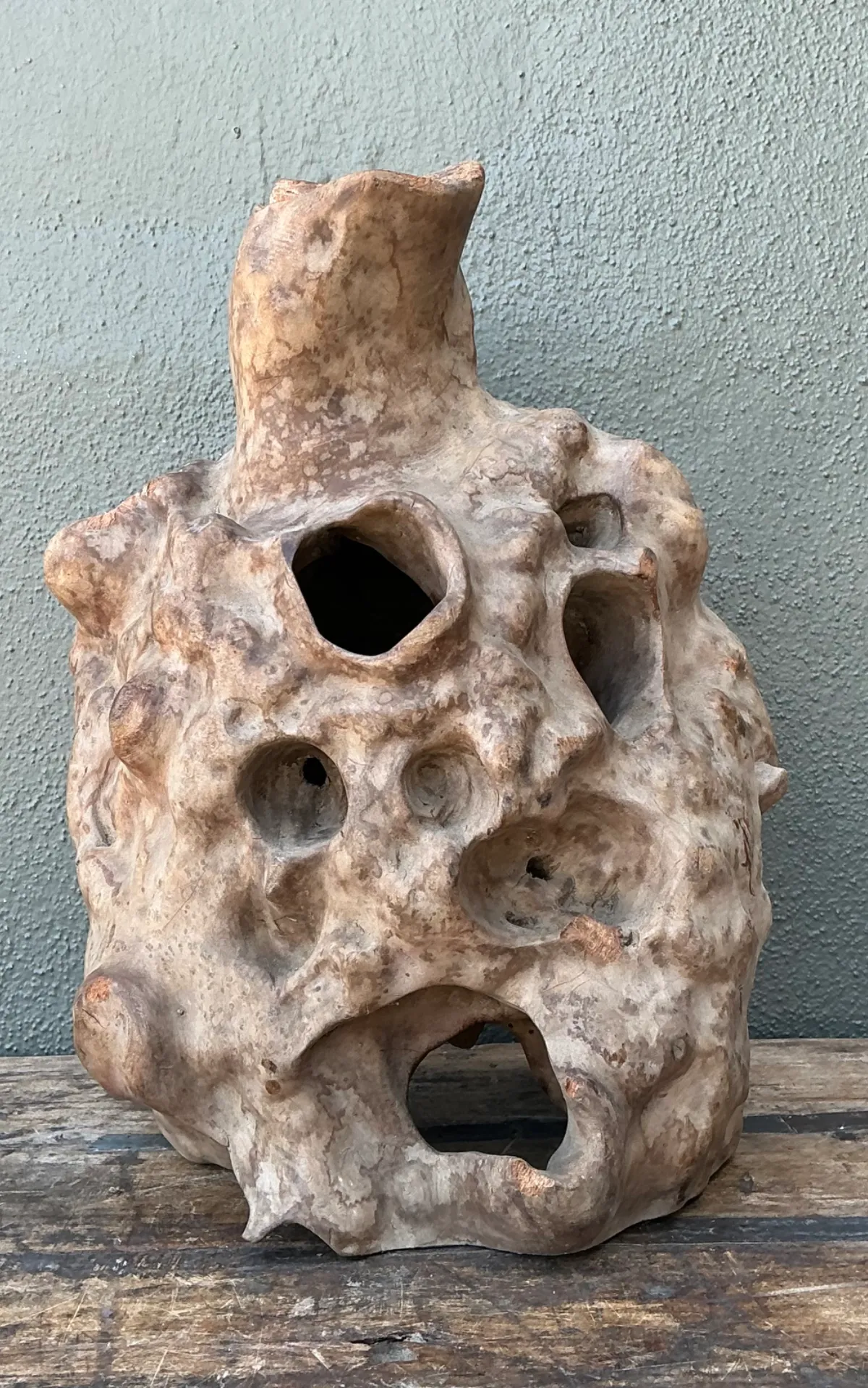 Vintage Organic Wood Knot Sculpture — additional photo 2