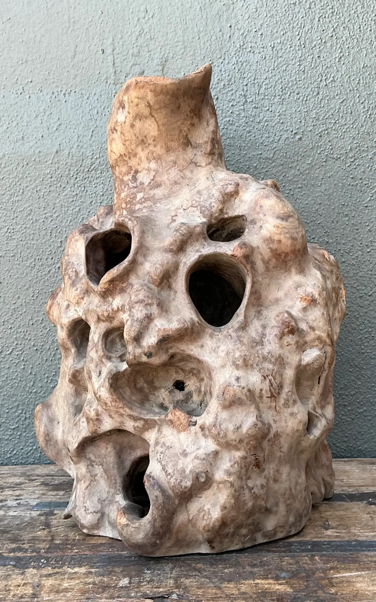 Vintage Organic Wood Knot Sculpture — additional photo 7