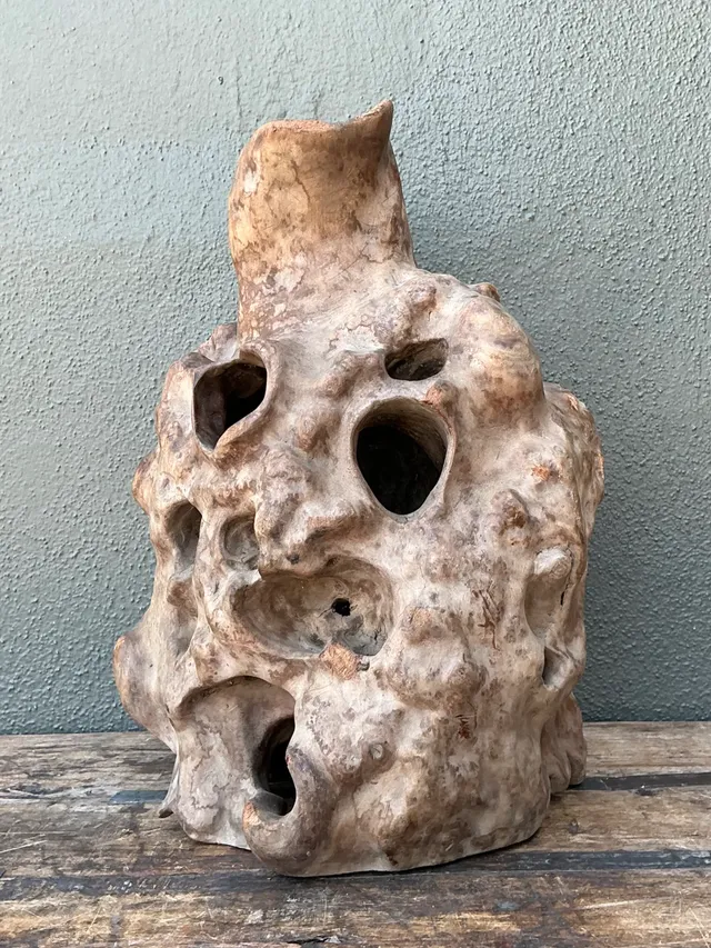 Vintage Organic Wood Knot Sculpture — additional photo 7