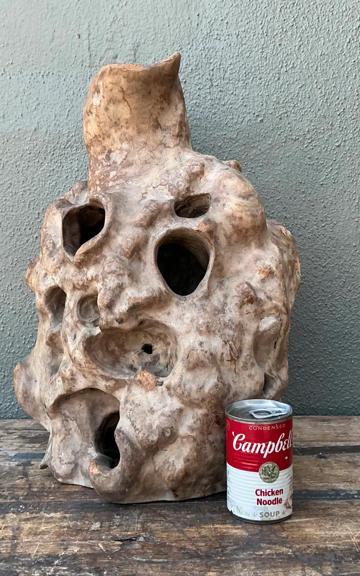Vintage Organic Wood Knot Sculpture — additional photo 6