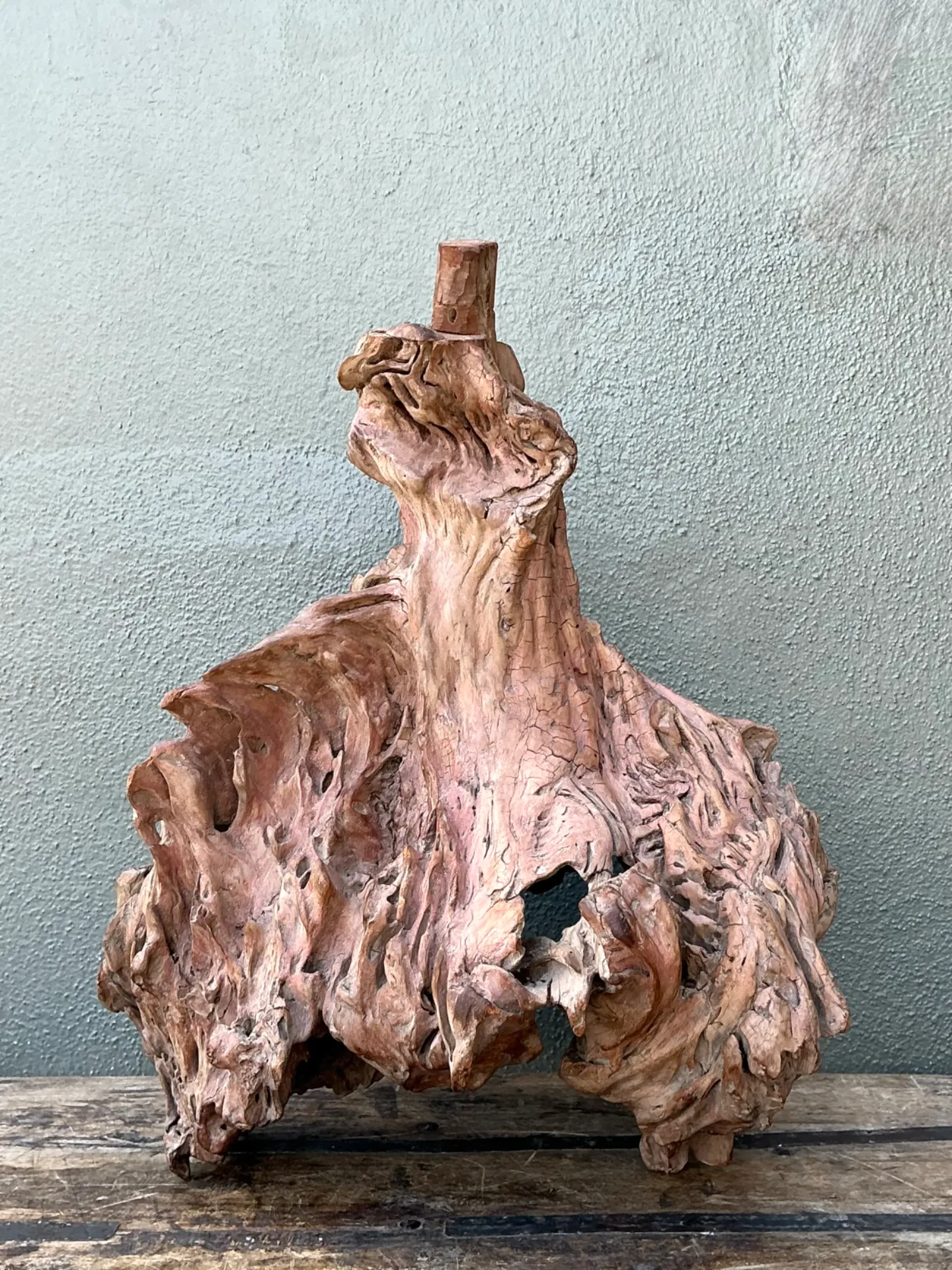 Vintage Organic Driftwood Decorative Object — additional photo 8