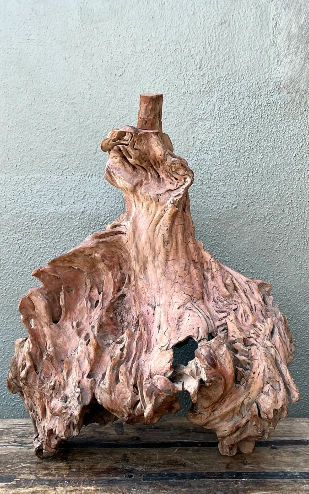 Vintage Organic Driftwood Decorative Object — additional photo 8