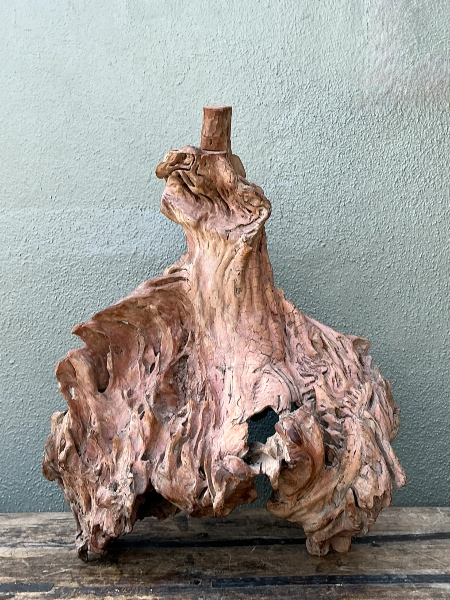 Vintage Organic Driftwood Decorative Object — additional photo 2