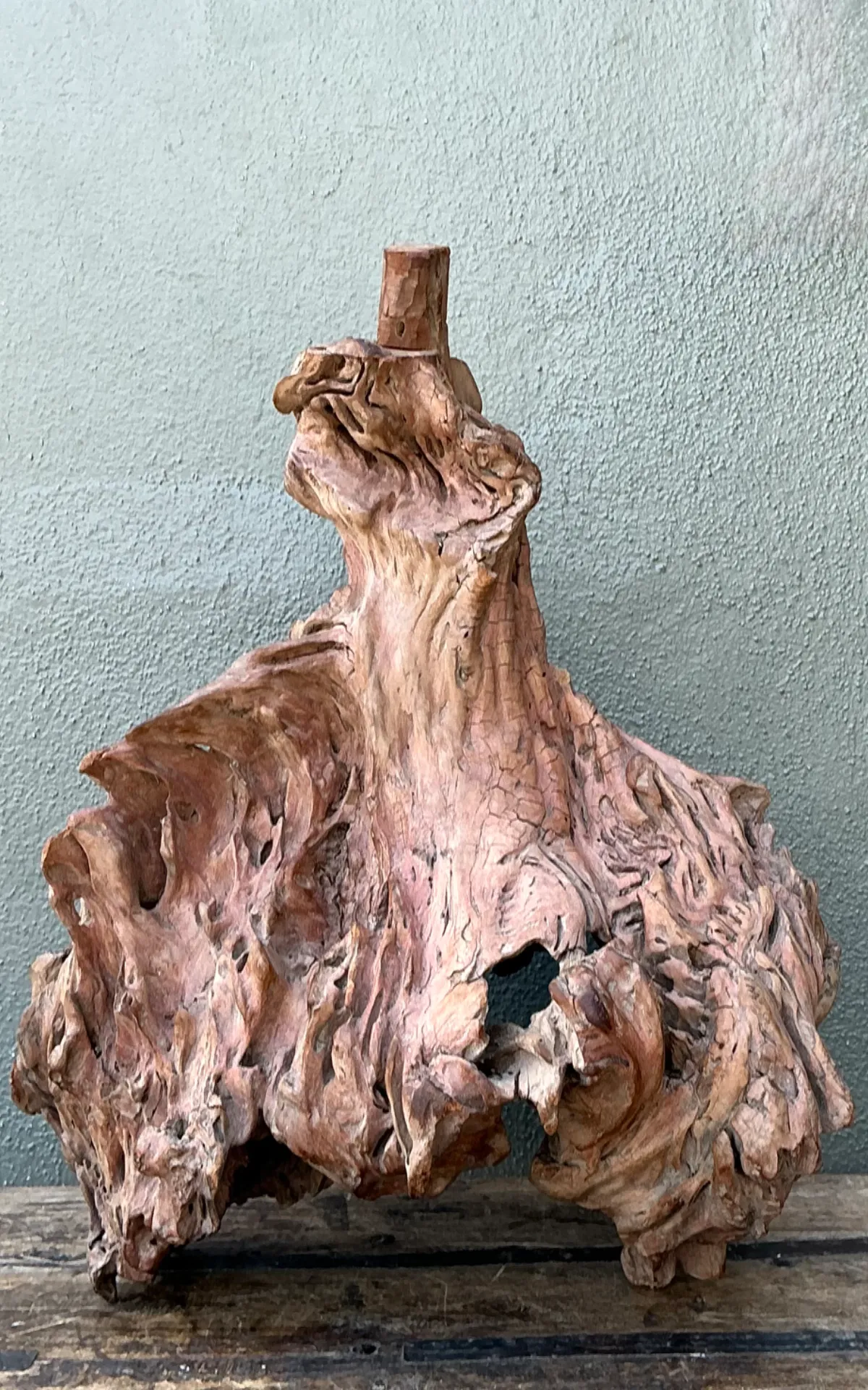 Vintage Organic Driftwood Decorative Object — additional photo 2