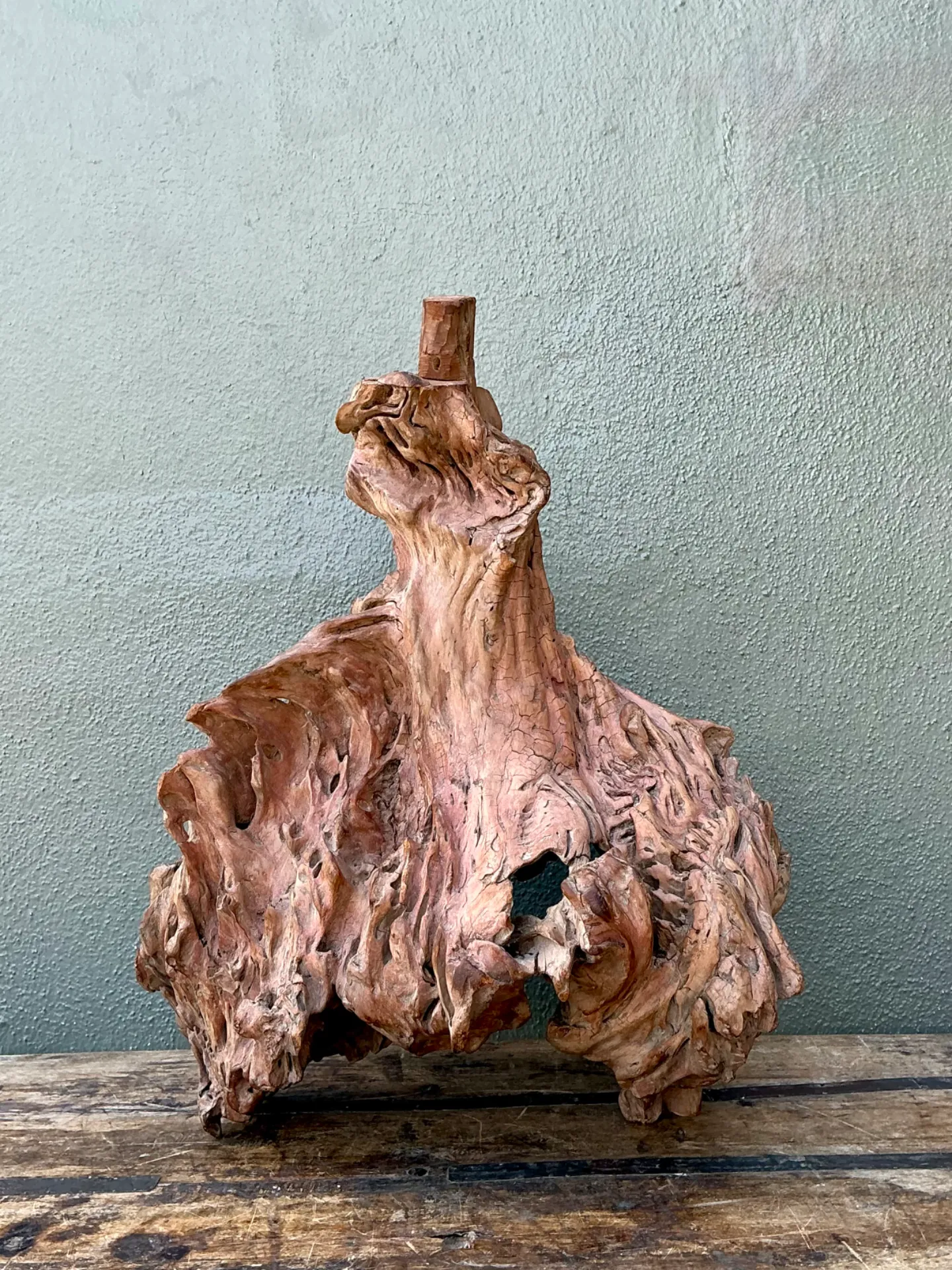 Vintage Organic Driftwood Decorative Object — additional photo 4