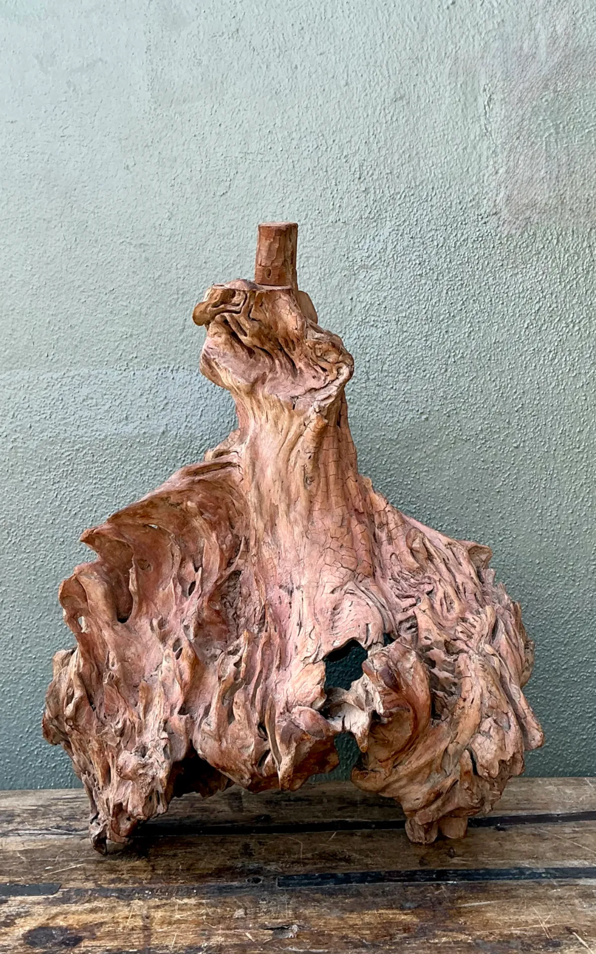 Vintage Organic Driftwood Decorative Object — additional photo 4