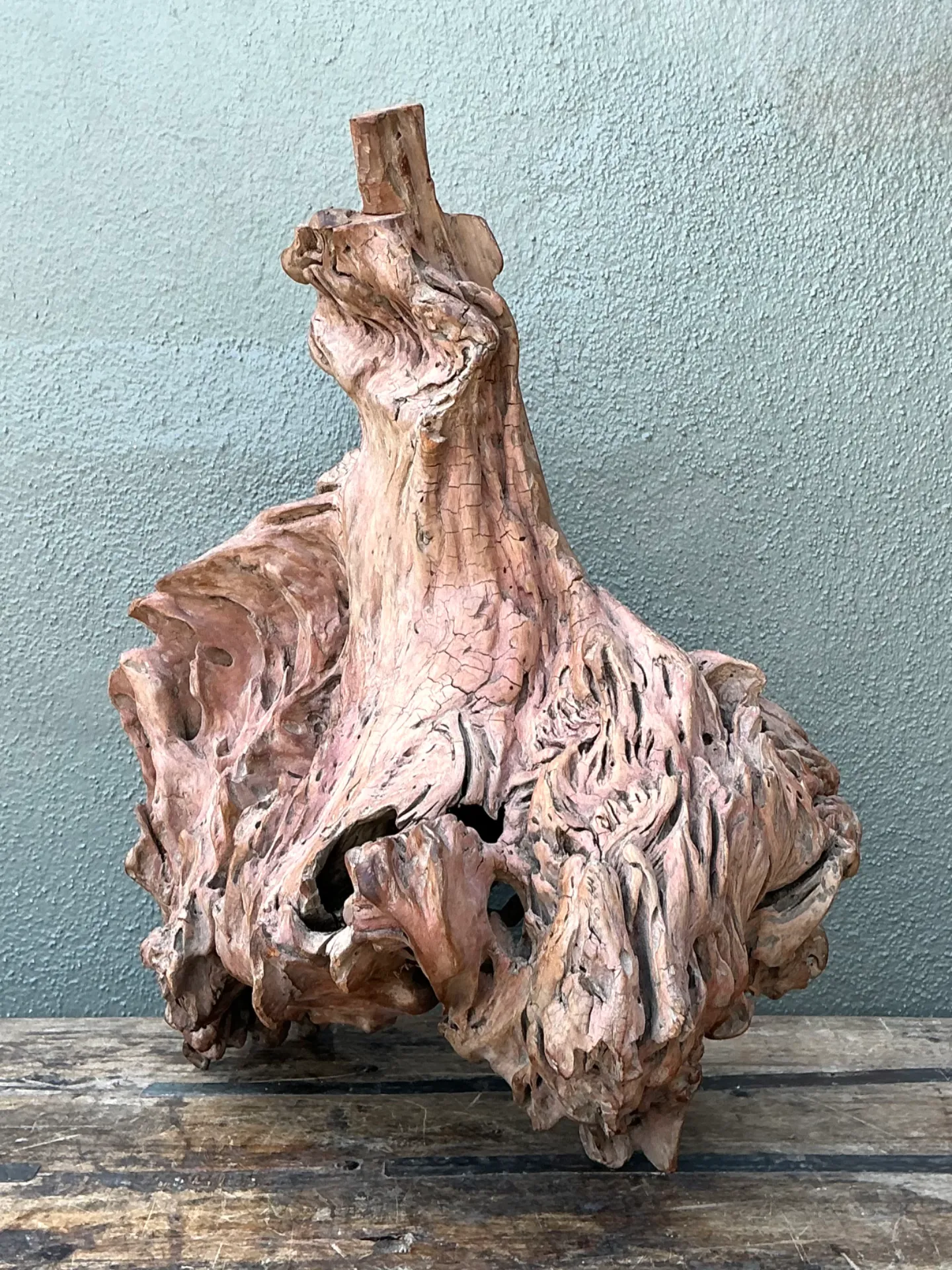 Vintage Organic Driftwood Decorative Object — additional photo 6