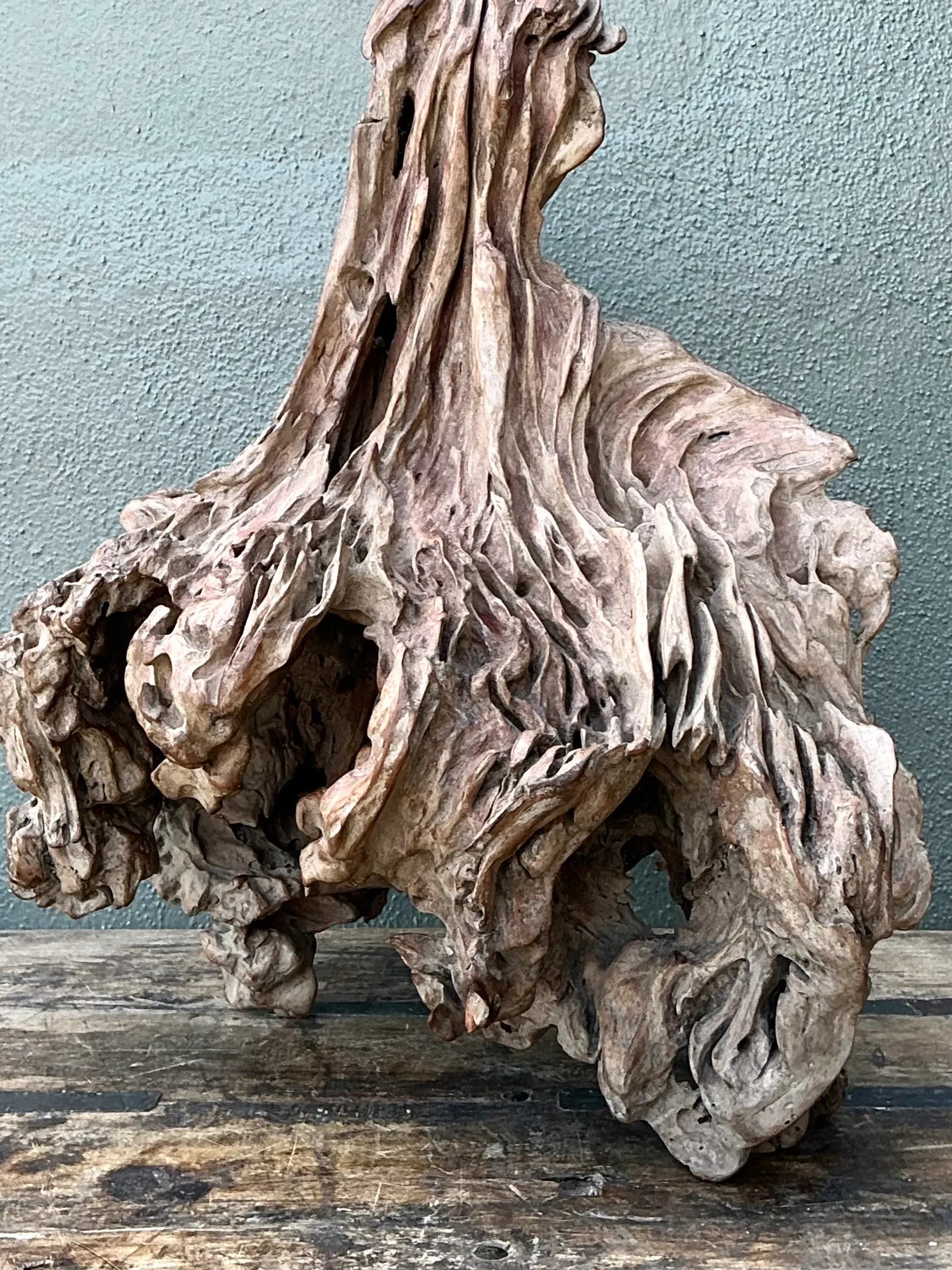 Vintage Organic Driftwood Decorative Object — additional photo 3