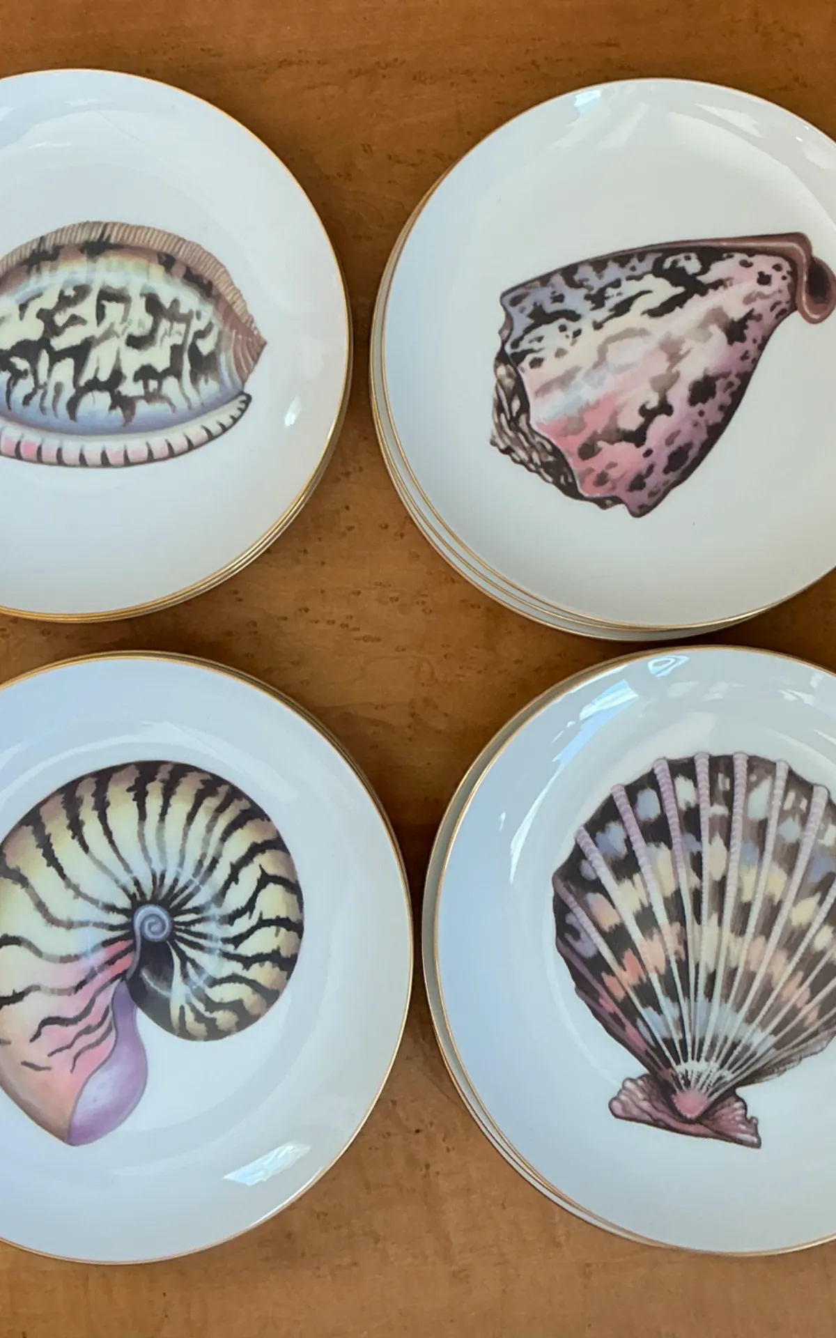 Vintage Fitz And Floyd Shell Motif Ceramic Plates - Set of Twelve — additional photo 6