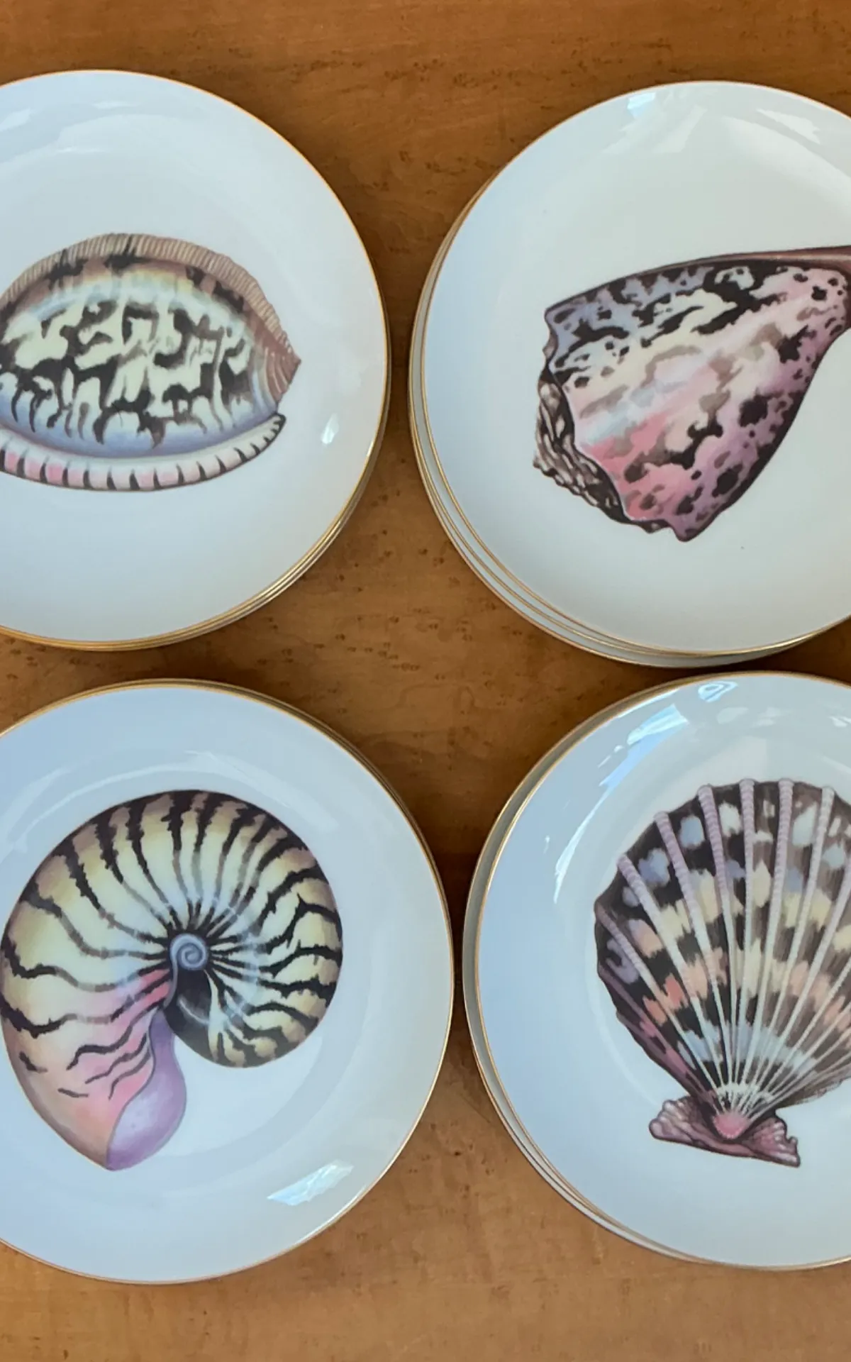 Vintage Fitz And Floyd Shell Motif Ceramic Plates - Set of Twelve — additional photo 7