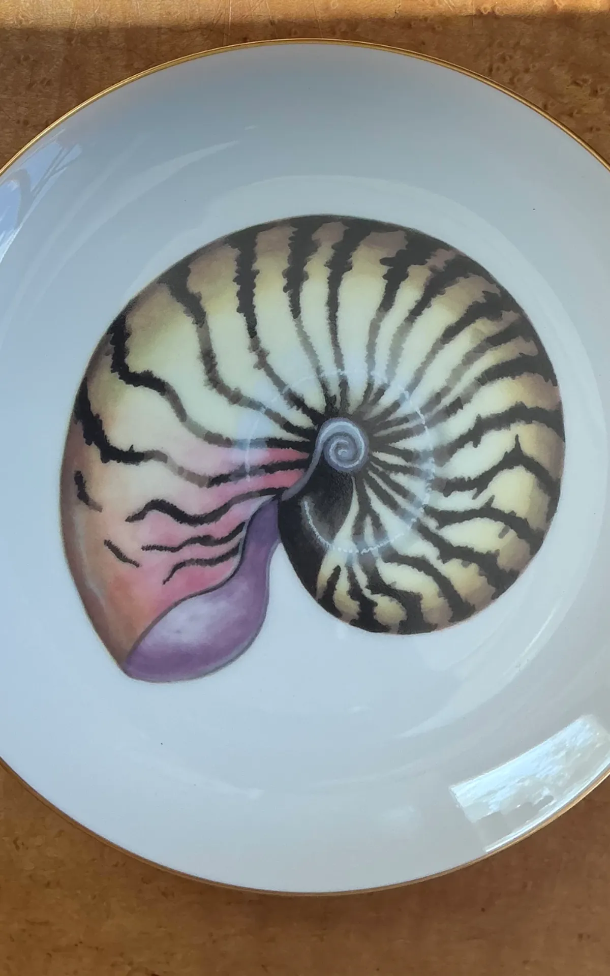 Vintage Fitz And Floyd Shell Motif Ceramic Plates - Set of Twelve — additional photo 3