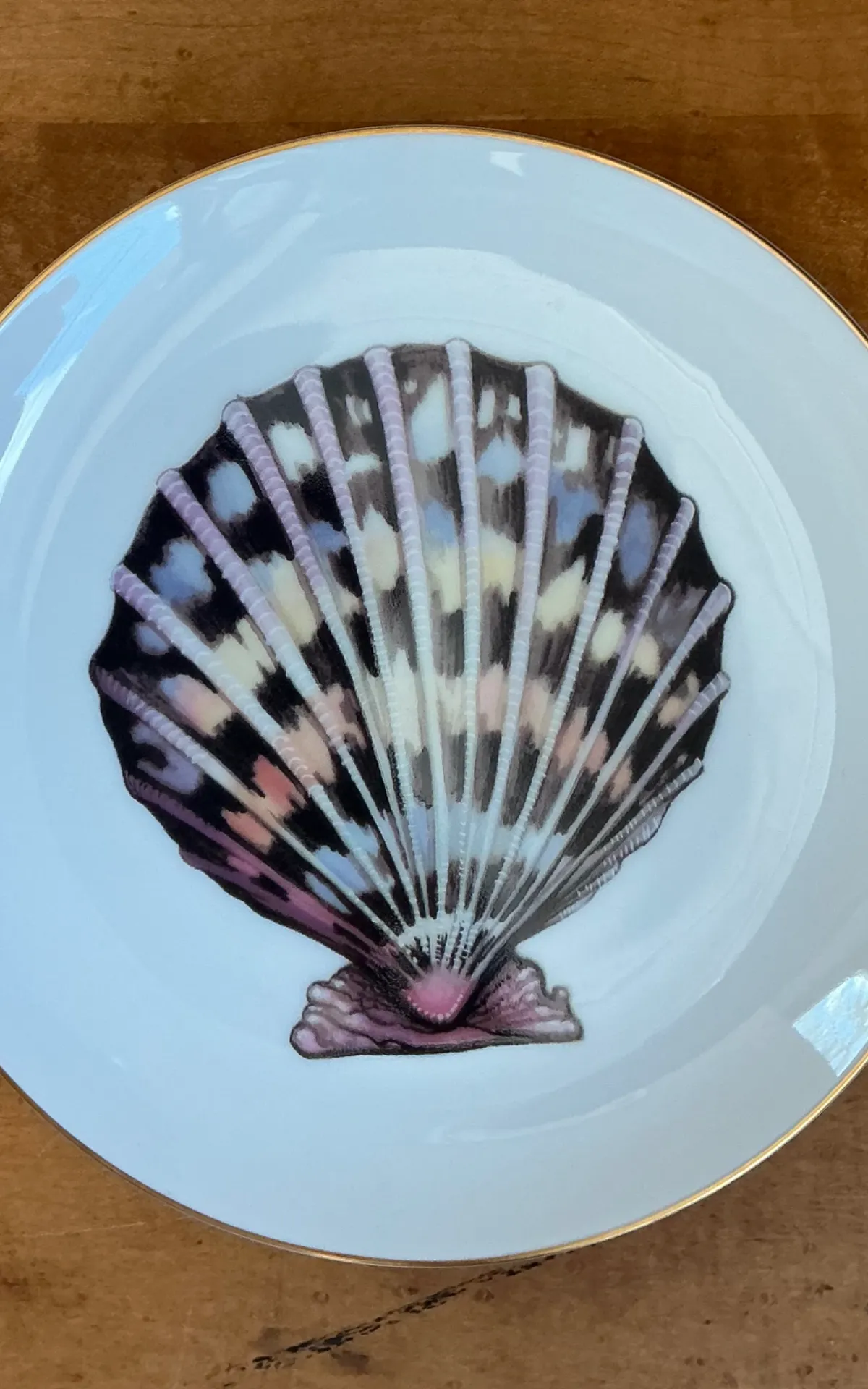 Vintage Fitz And Floyd Shell Motif Ceramic Plates - Set of Twelve — additional photo 1