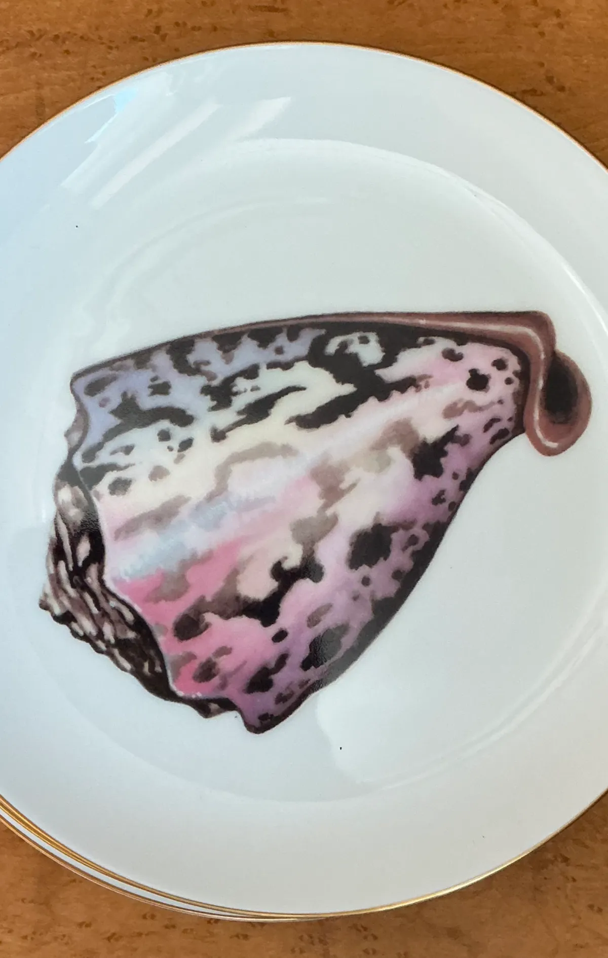 Vintage Fitz And Floyd Shell Motif Ceramic Plates - Set of Twelve — additional photo 5